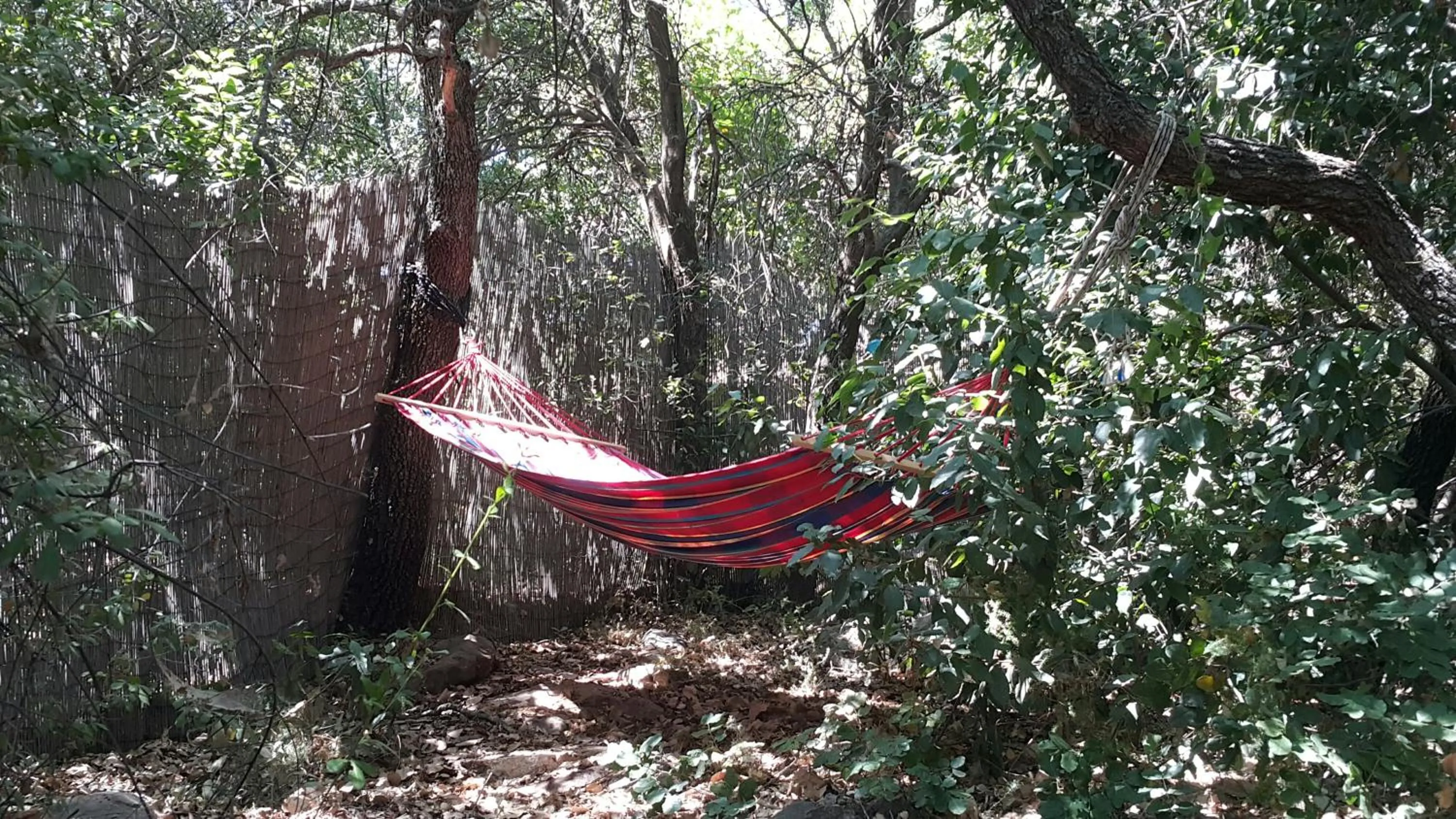 Garden in Eretz Hagalil - Land of Galilee
