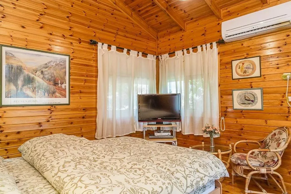 TV and multimedia, Bed in Eretz Hagalil - Land of Galilee