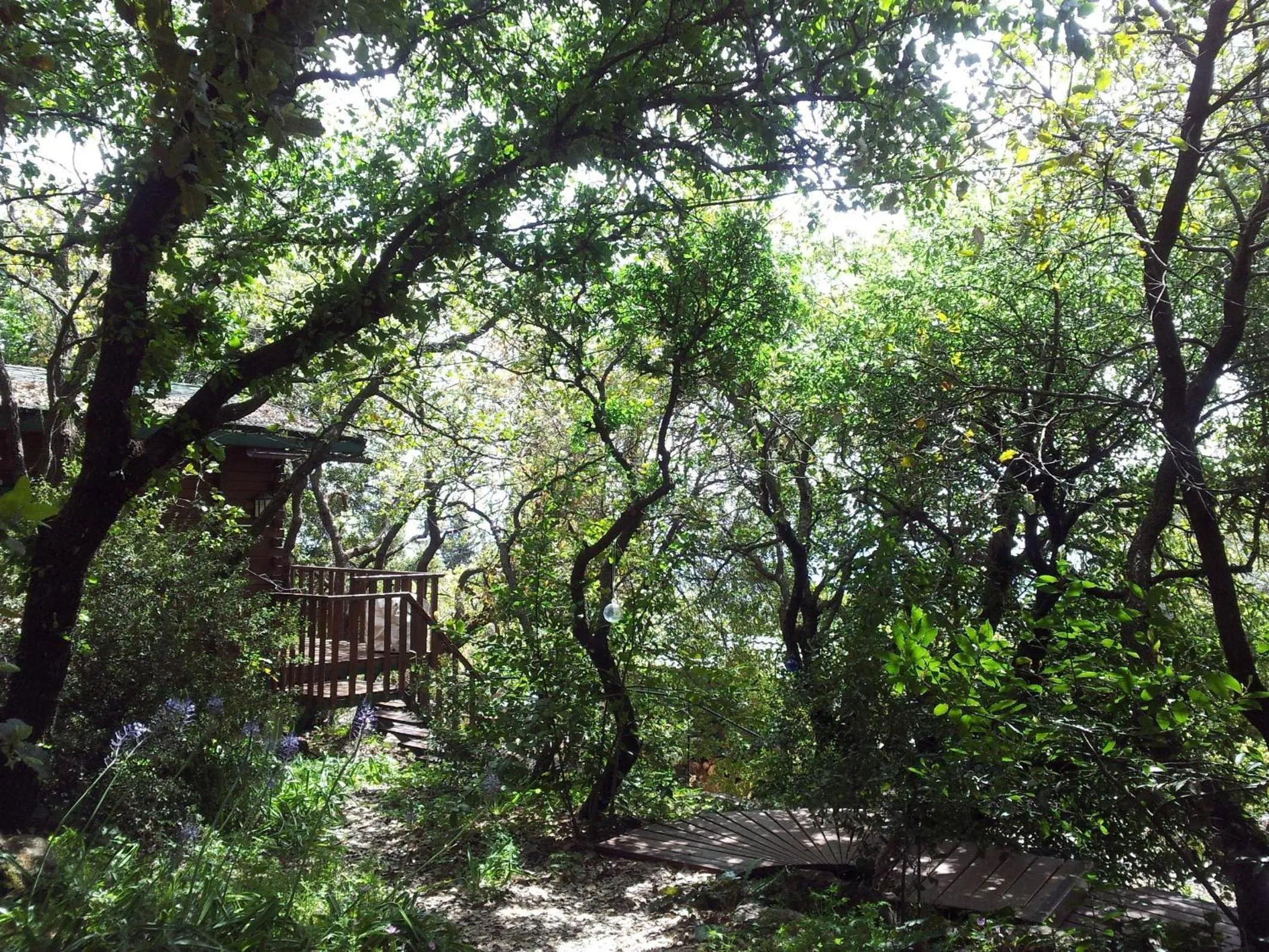 Facade/entrance in Eretz Hagalil - Land of Galilee