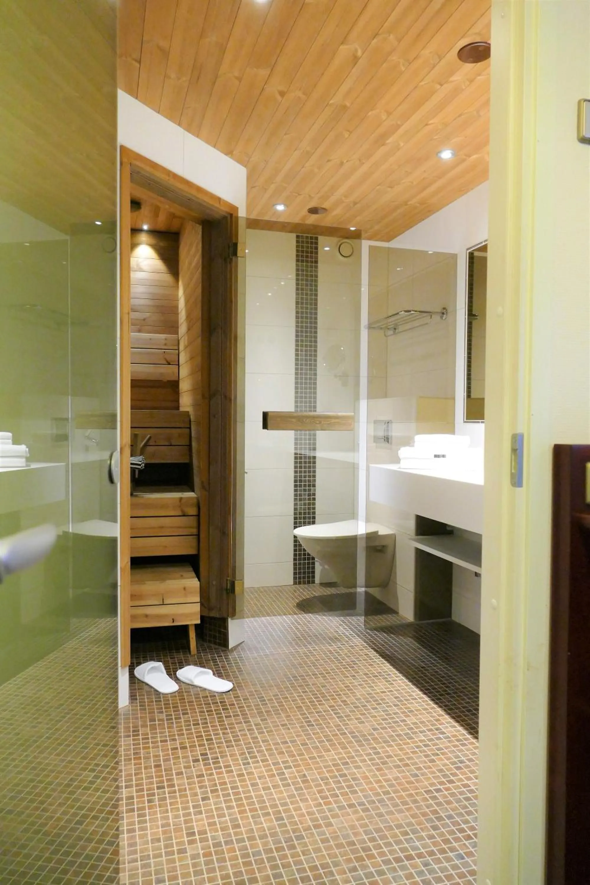 Shower in Hotel Kalliohovi