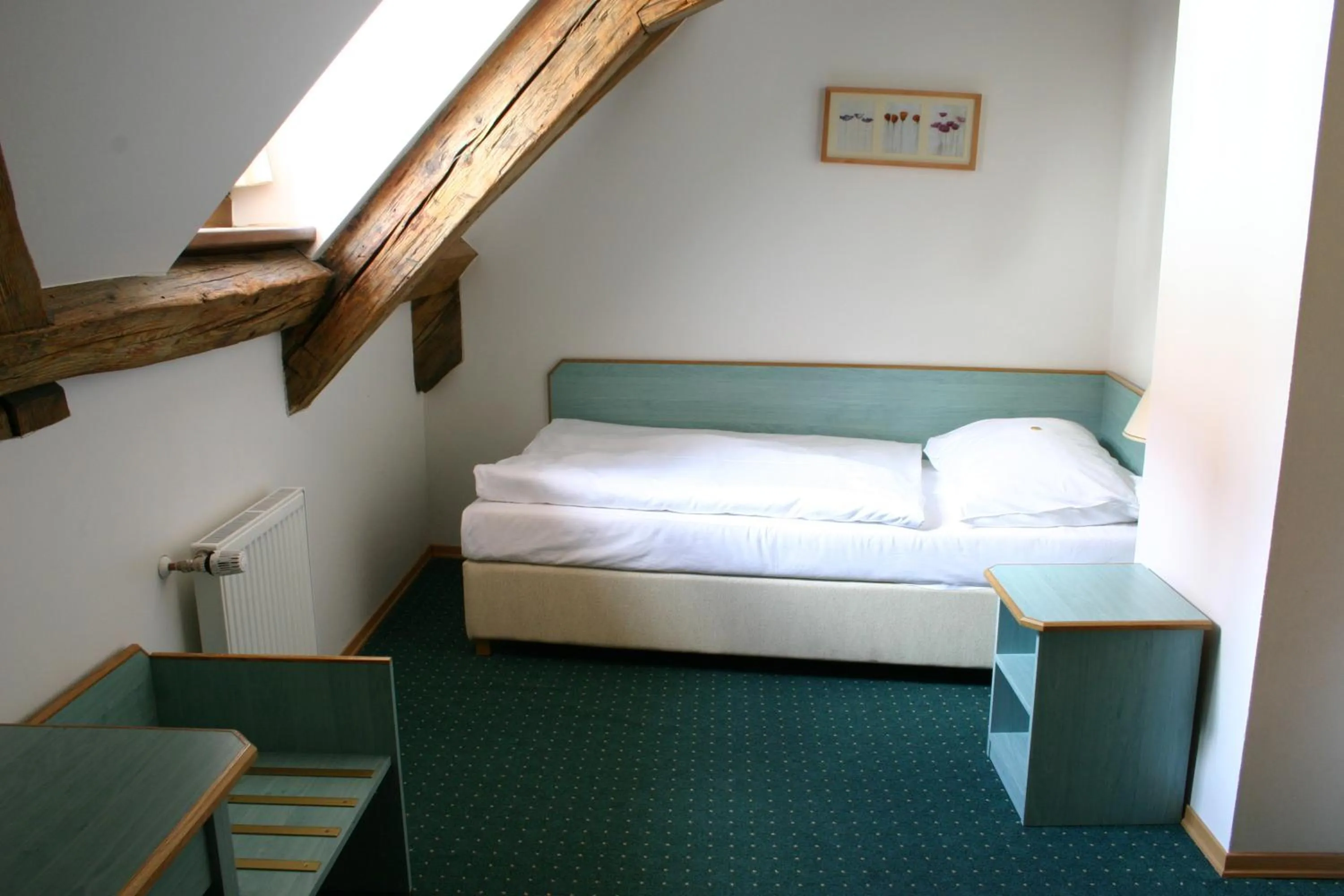 Single Room in Adalbert Ecohotel