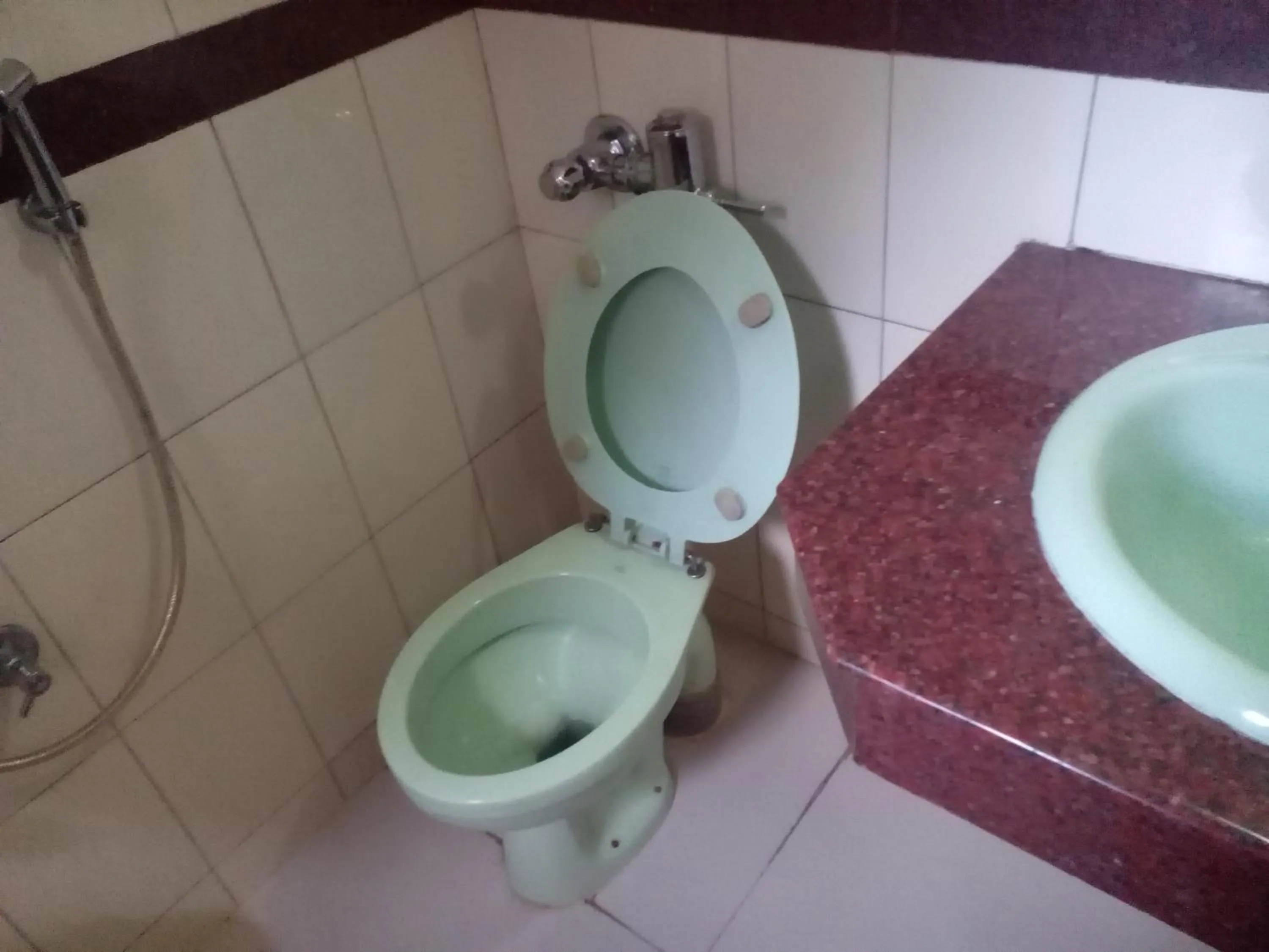 Toilet in Hotel Preethi Palace
