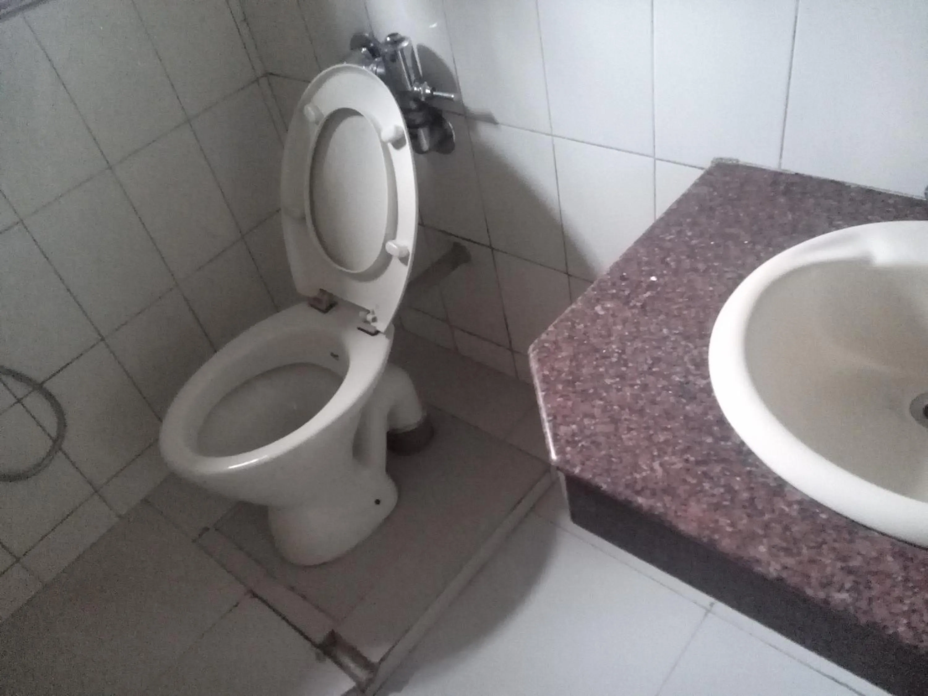 Toilet in Hotel Preethi Palace