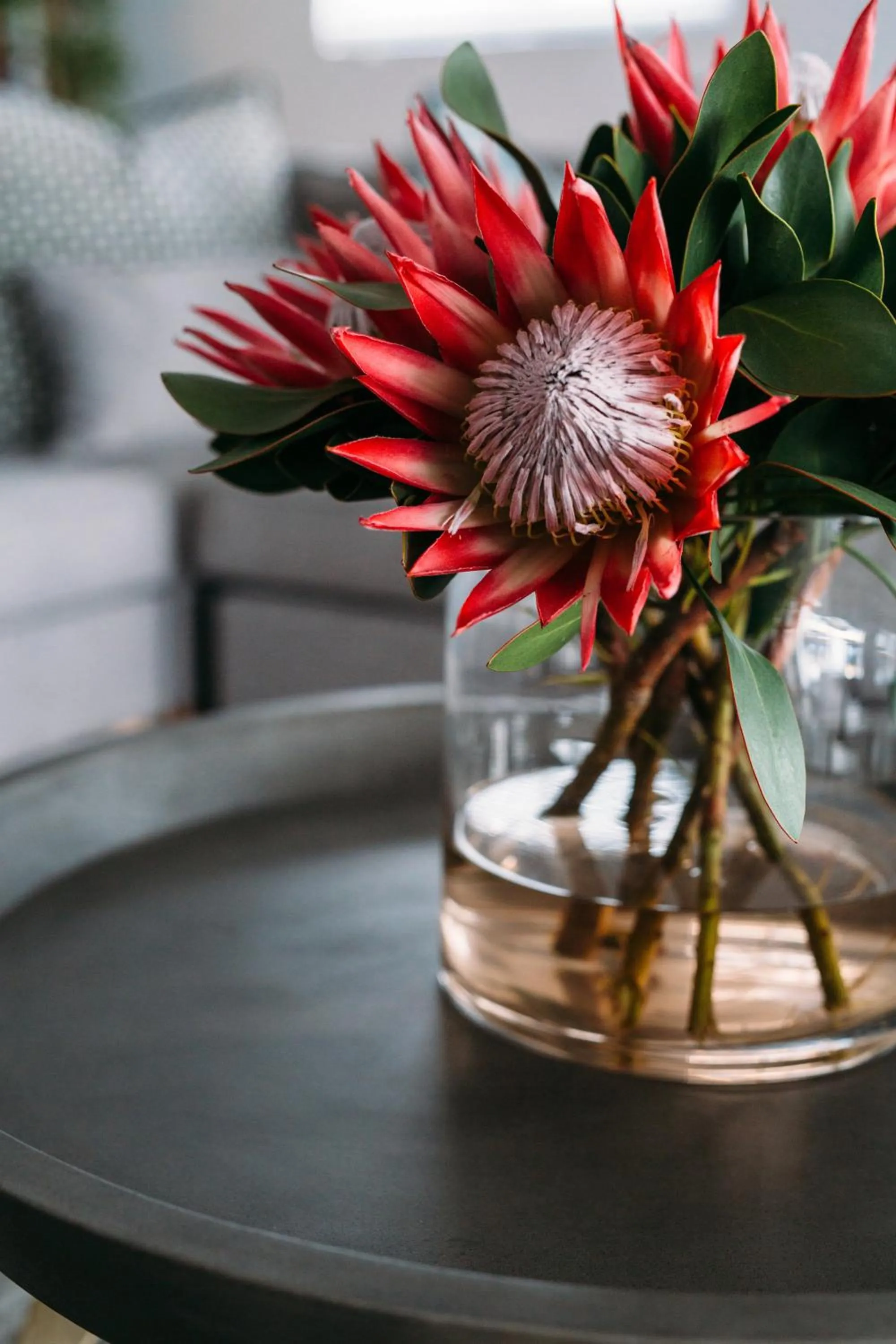 Linhof Boutique Guest House