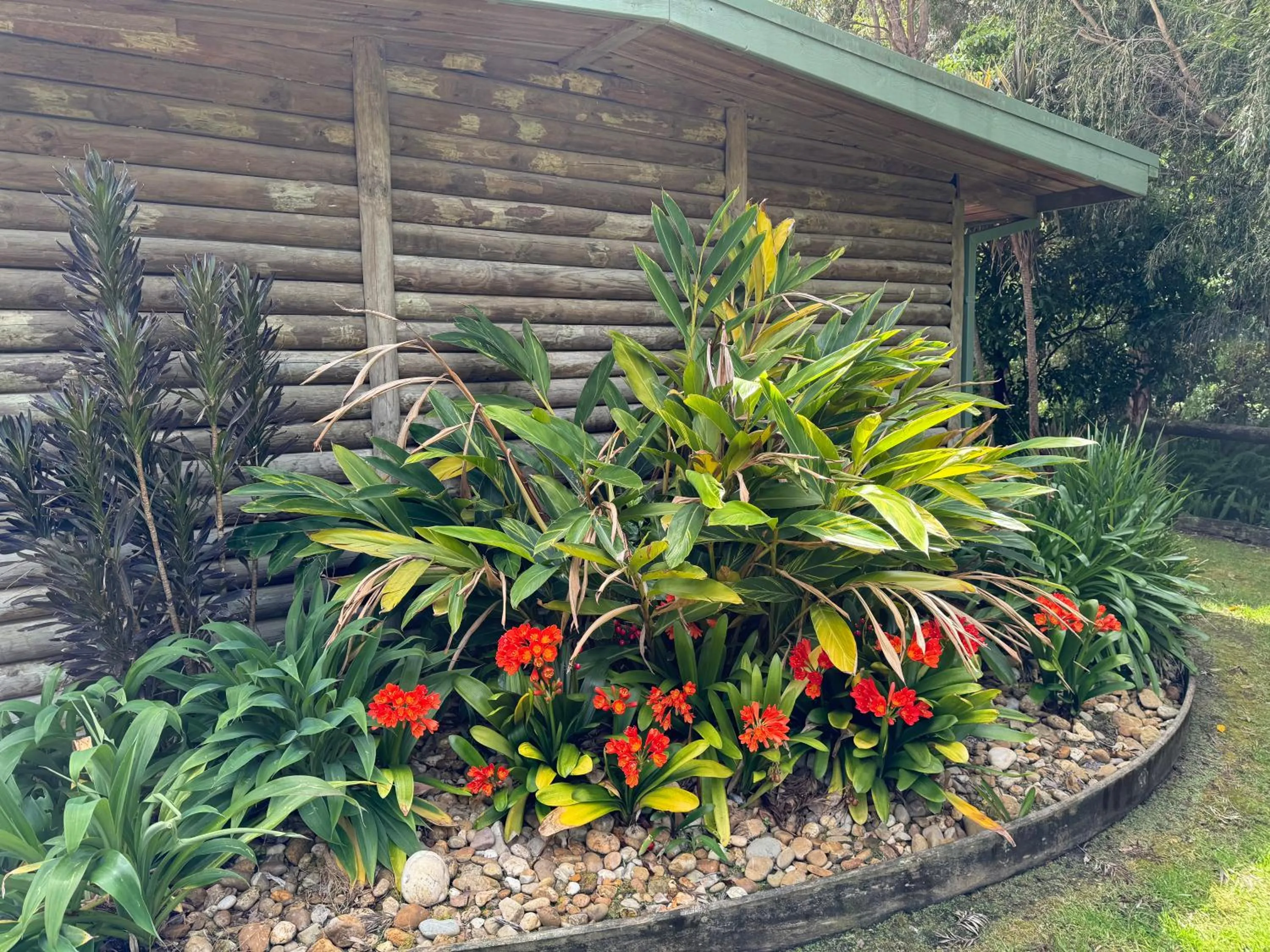 Mallacoota Log cabins