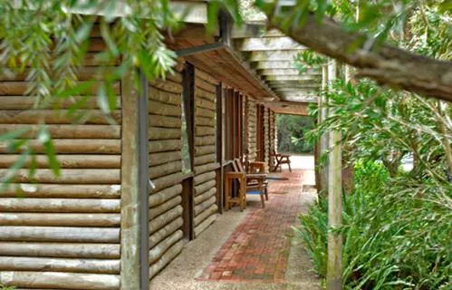 Natural landscape in Mallacoota Log cabins