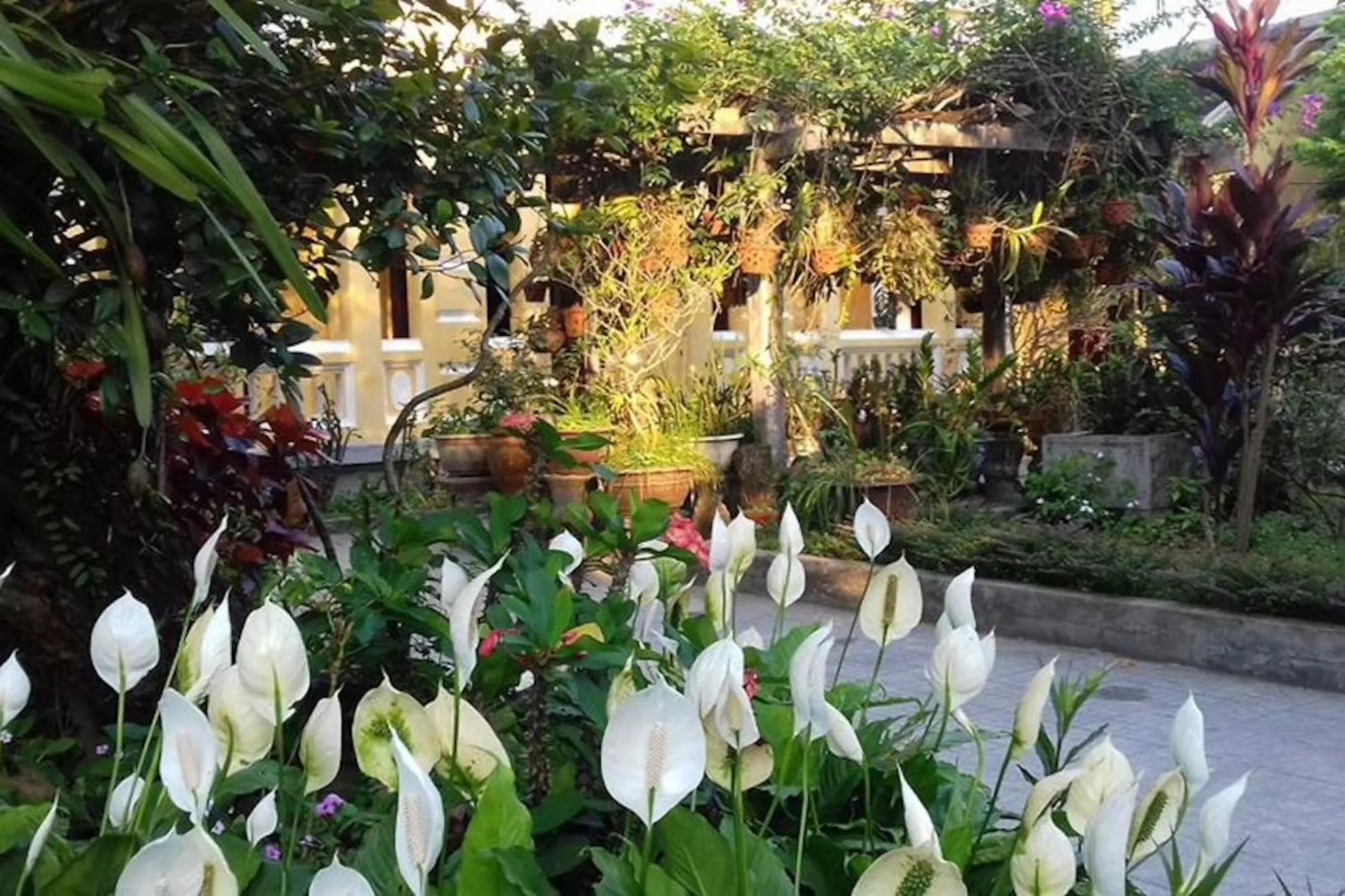 Garden in Ciel Homestay