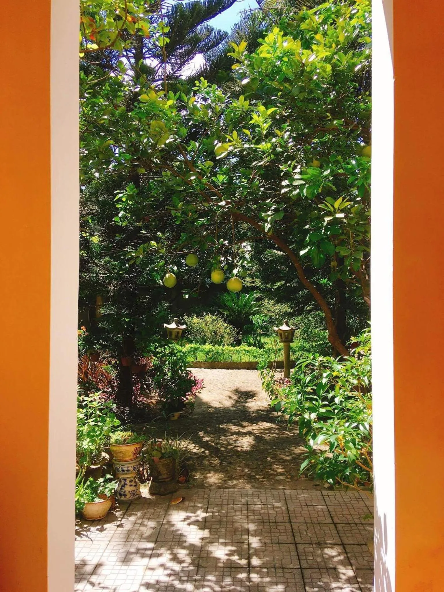 Garden in Ciel Homestay