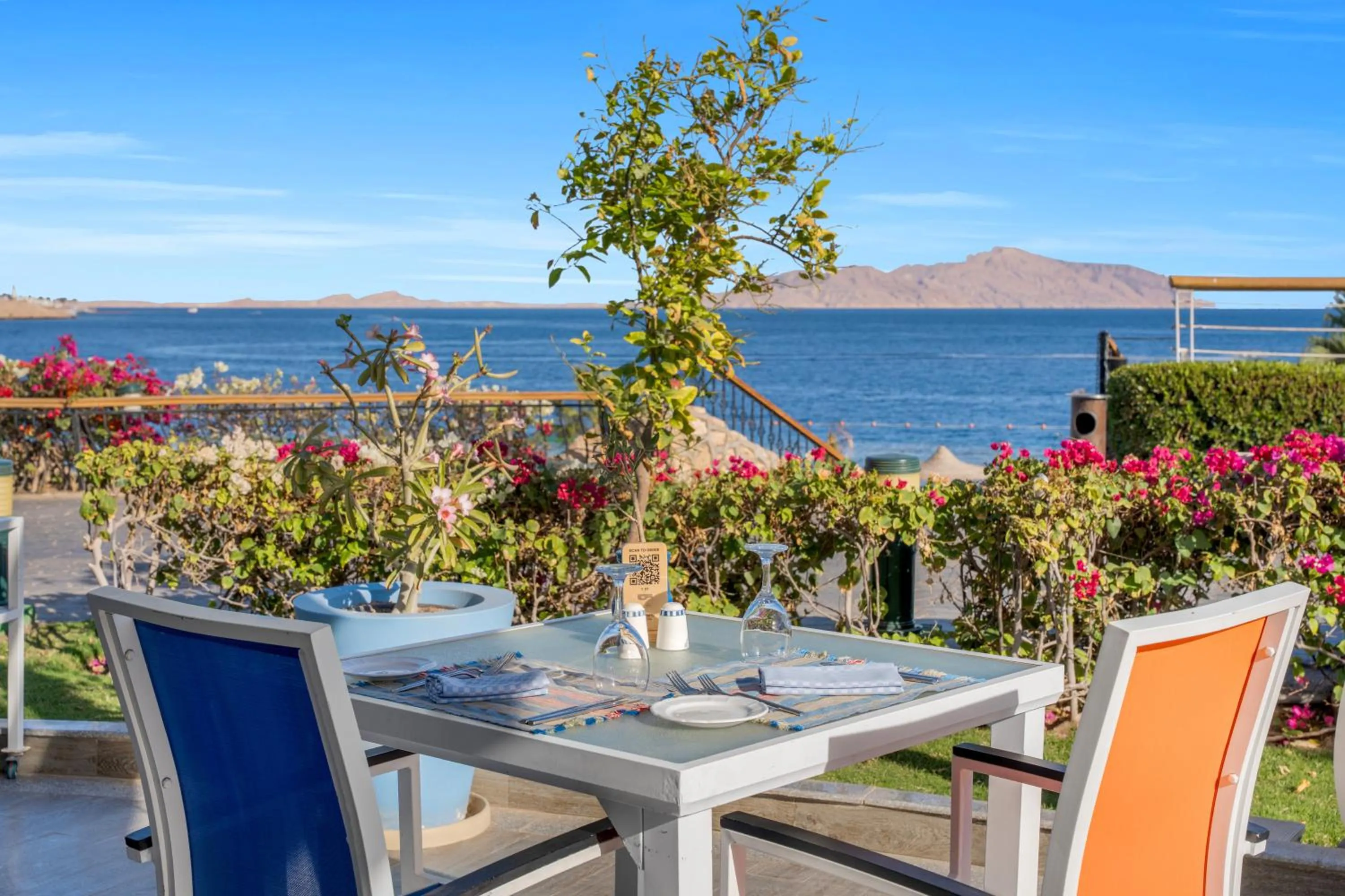 Restaurant/places to eat in Royal Savoy Sharm El Sheikh