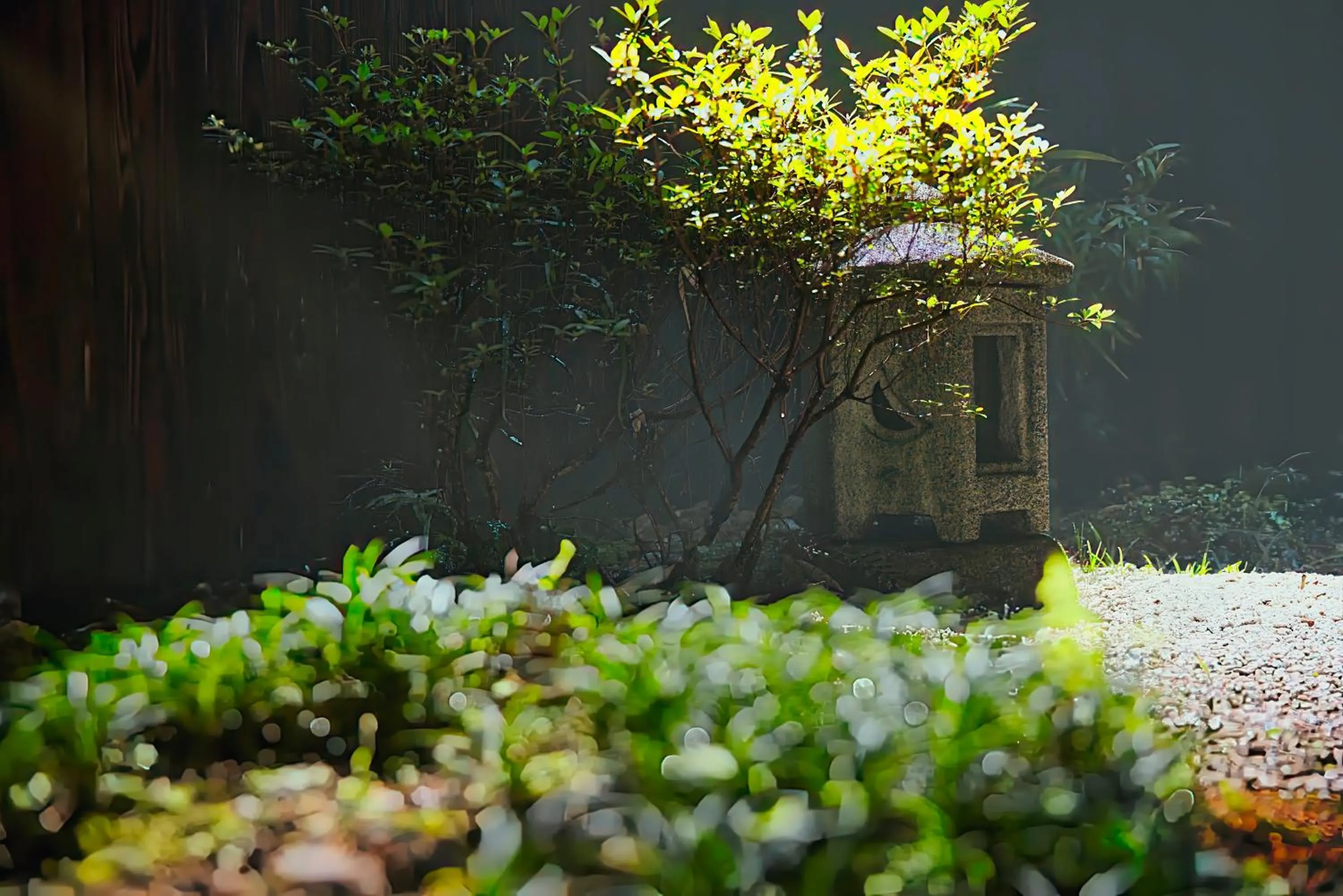 Garden in Rinn Gojomibugawa East