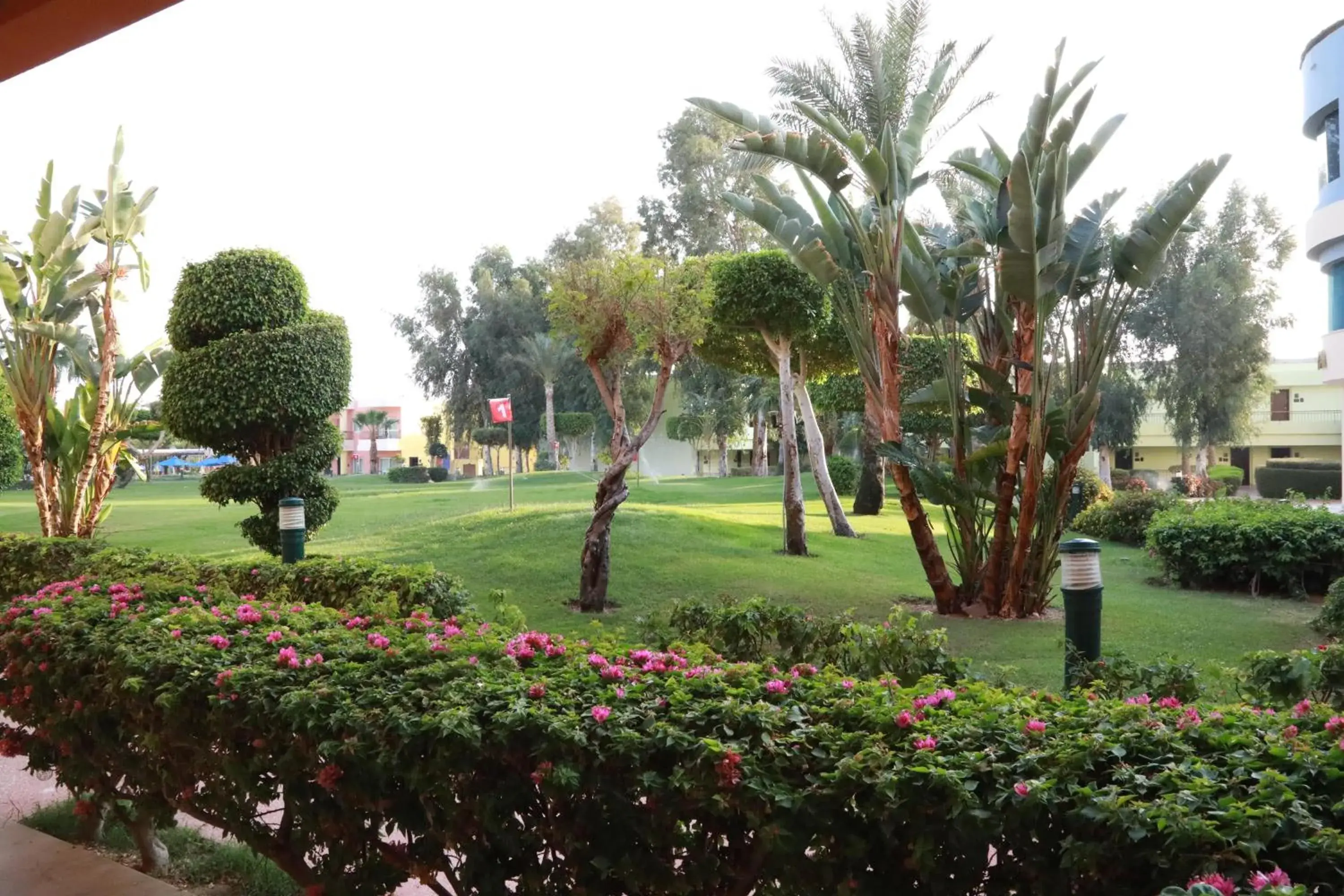 View (from property/room) in Sierra Sharm El Sheikh View (from property/room) in Sierra Sharm El Sheikh