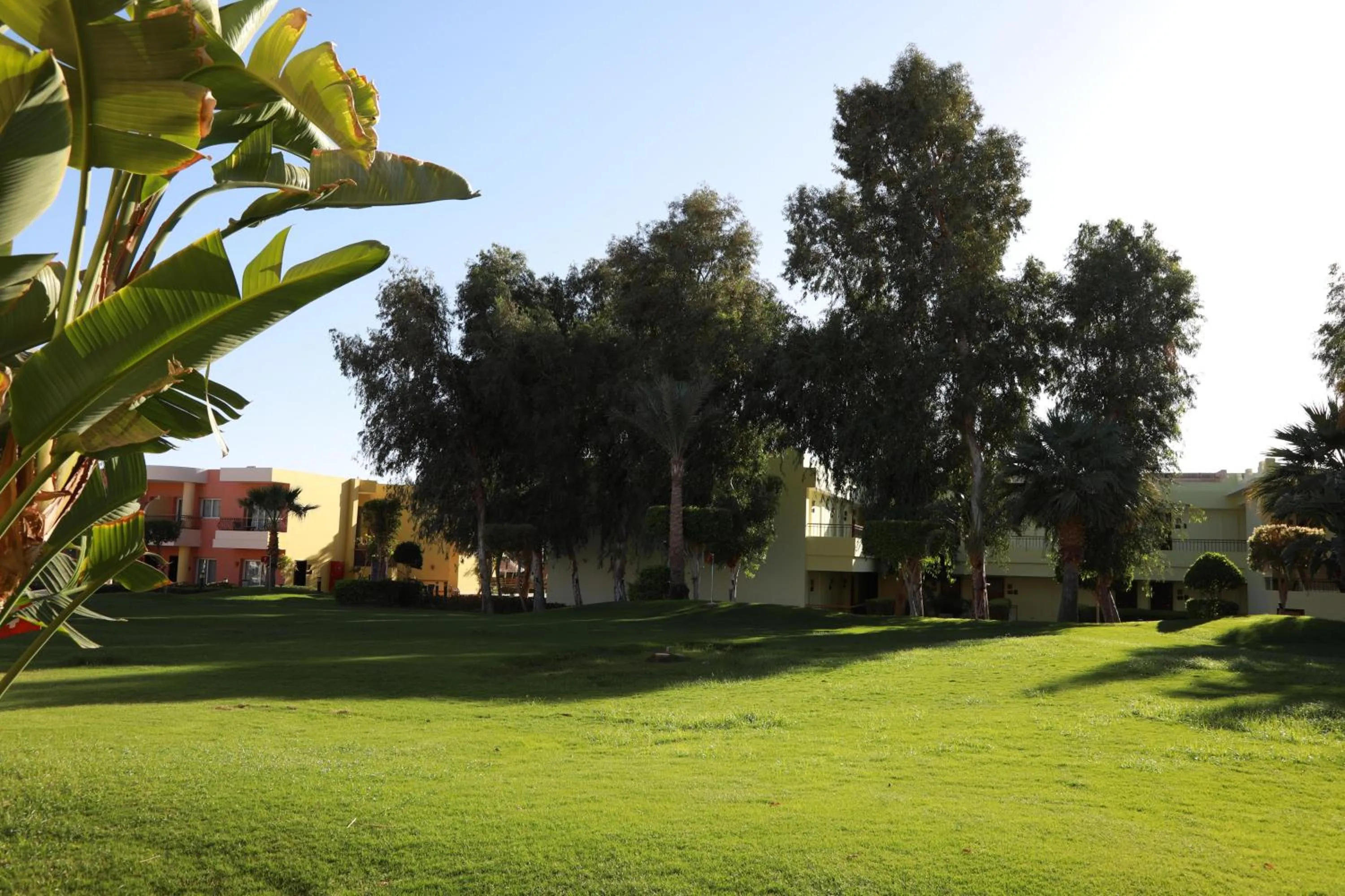Garden in Sierra Sharm El Sheikh