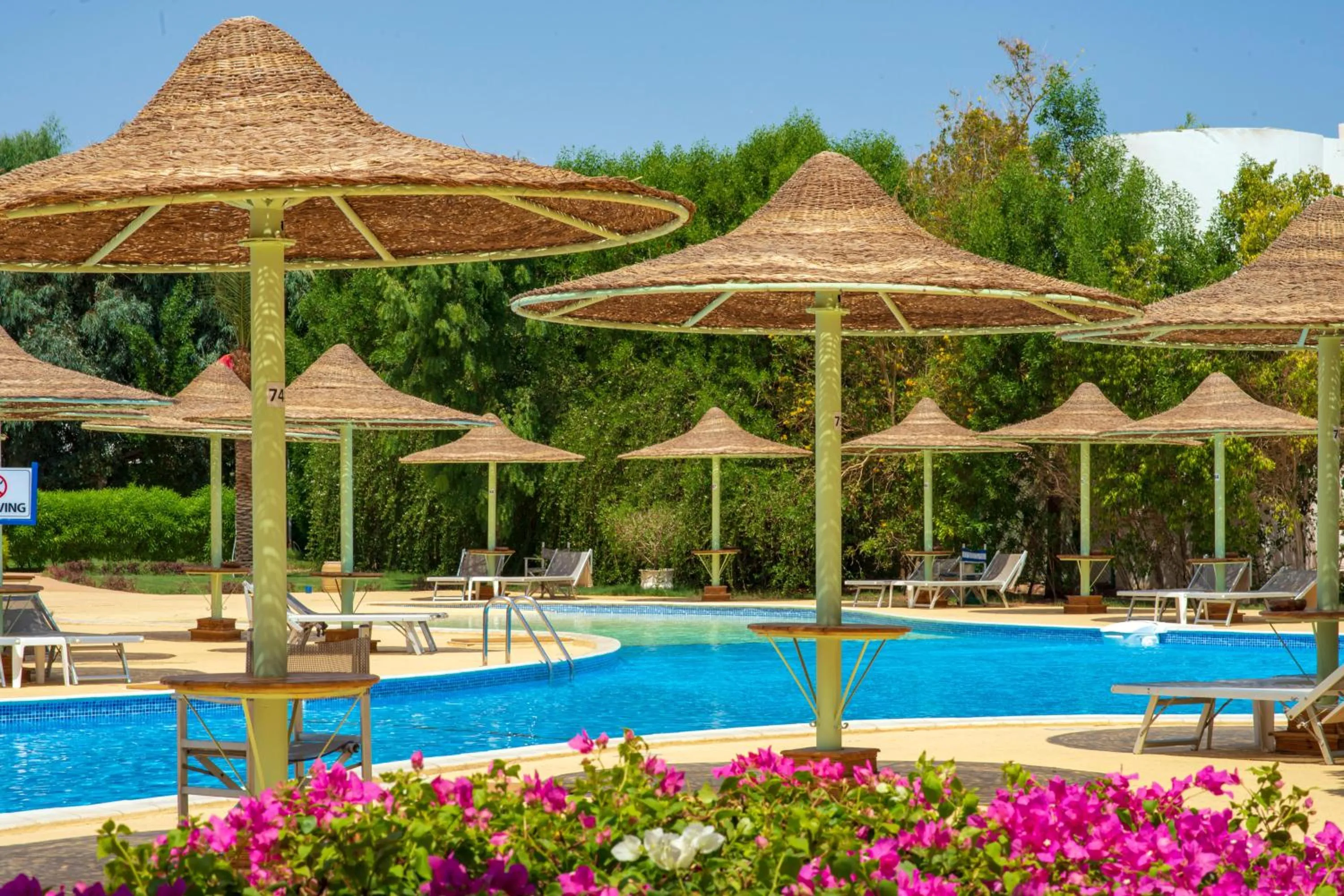 Swimming pool in Sierra Sharm El Sheikh
