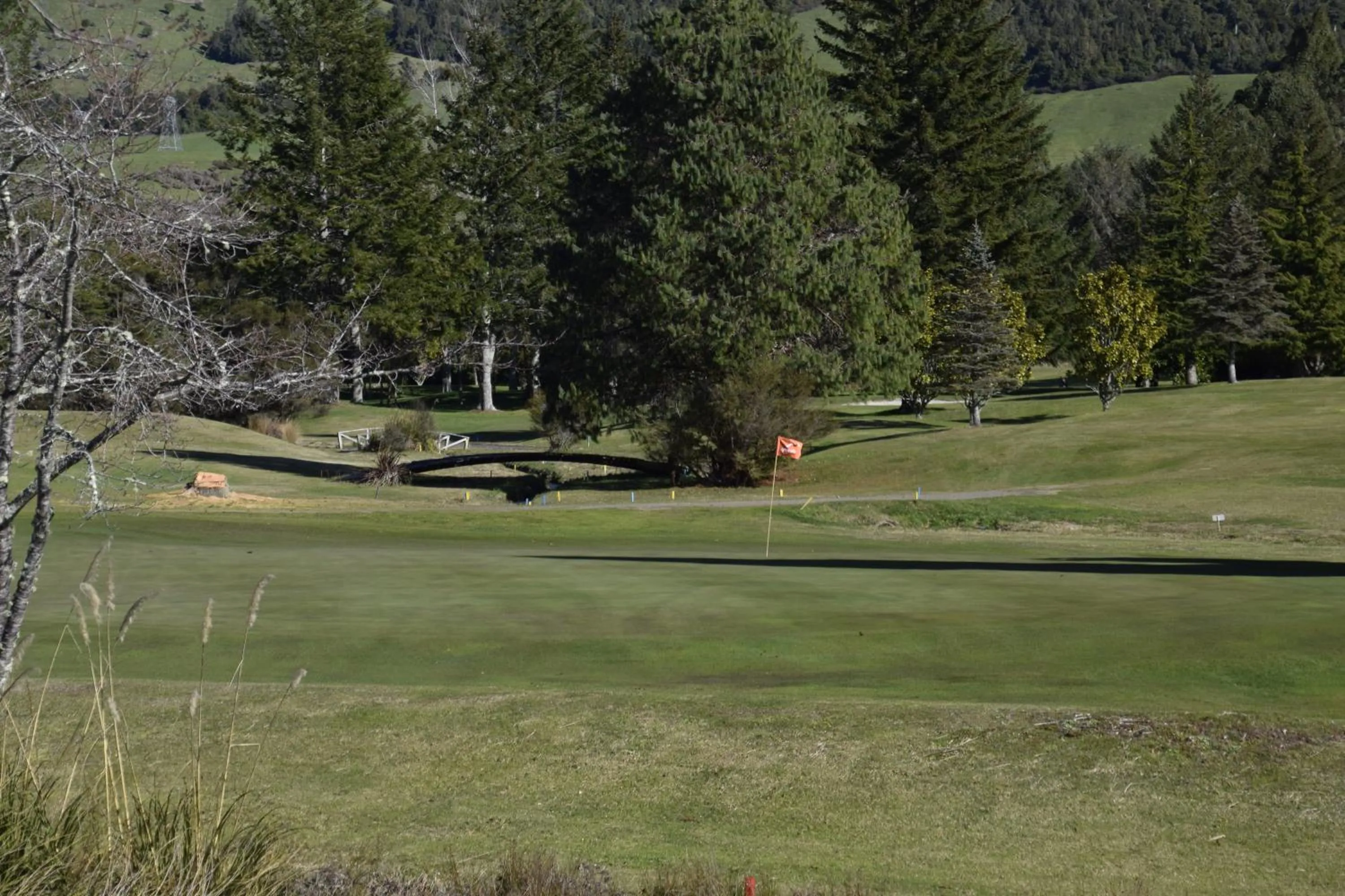 Golfcourse in Judges Pool Motel Turangi
