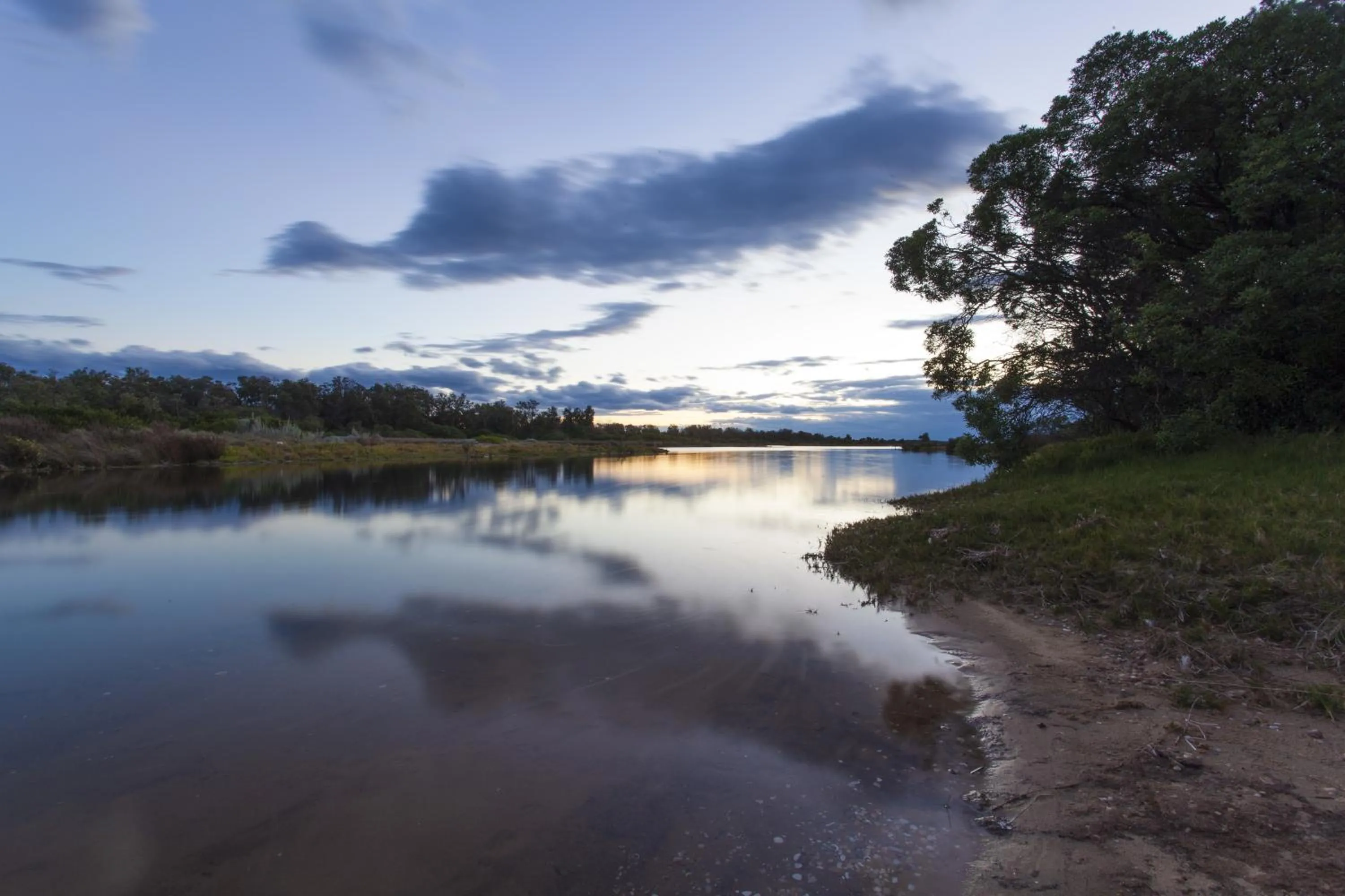 Natural landscape in NRMA Eastern Beach Holiday Park