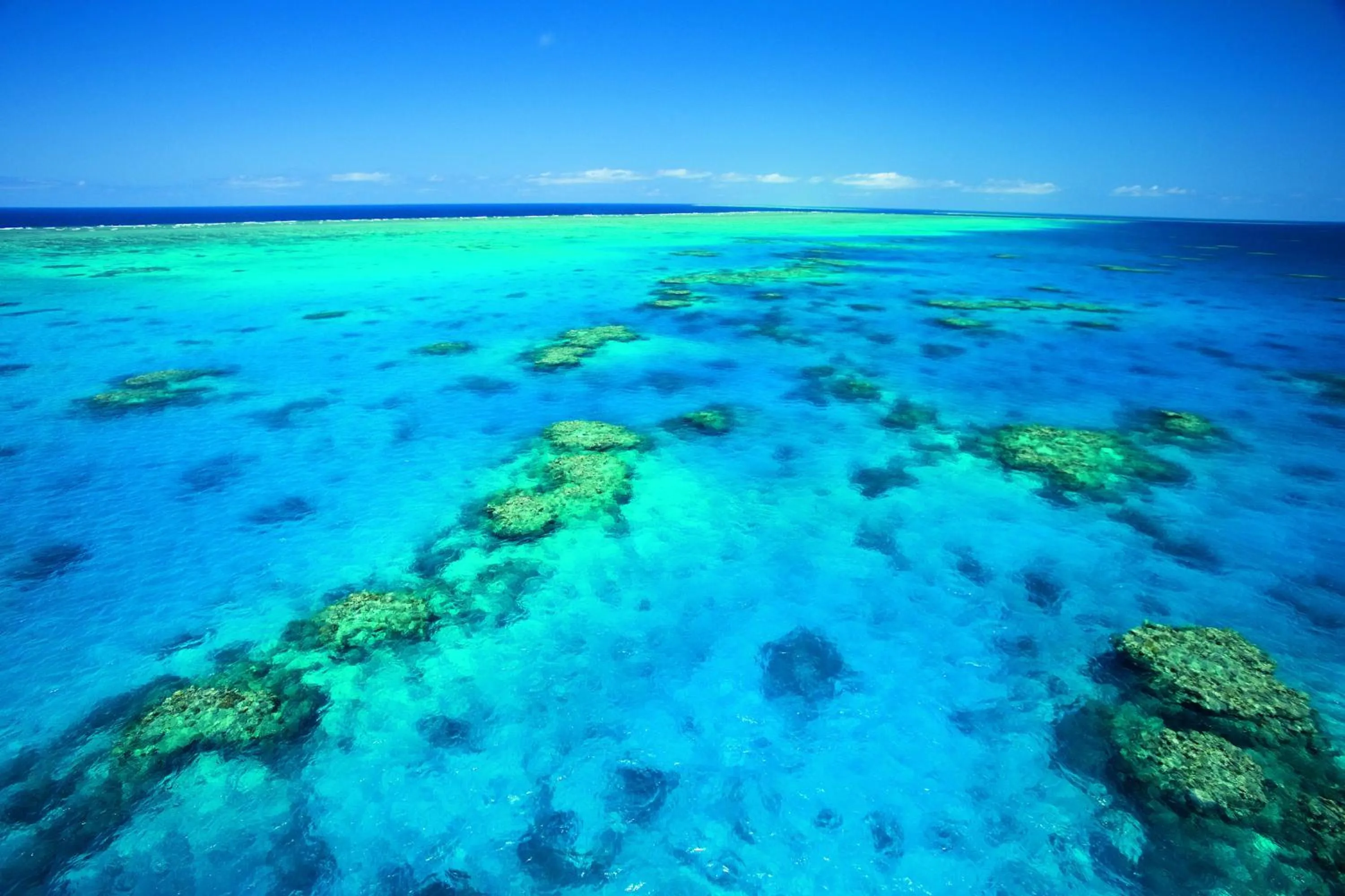 Natural landscape in NRMA Cairns Holiday Park