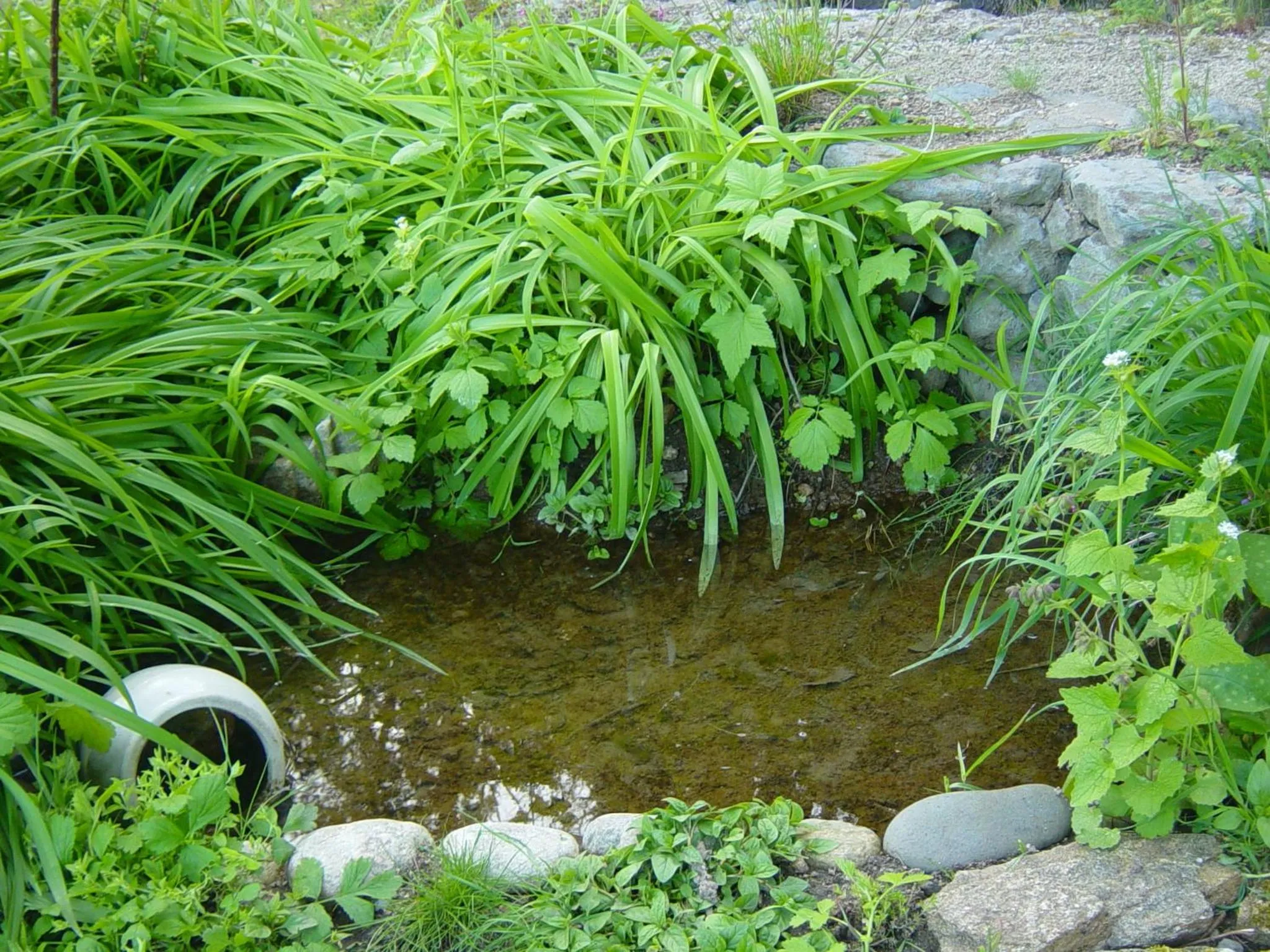 Natural landscape in ADONIS CHAMBRES D'HOTES