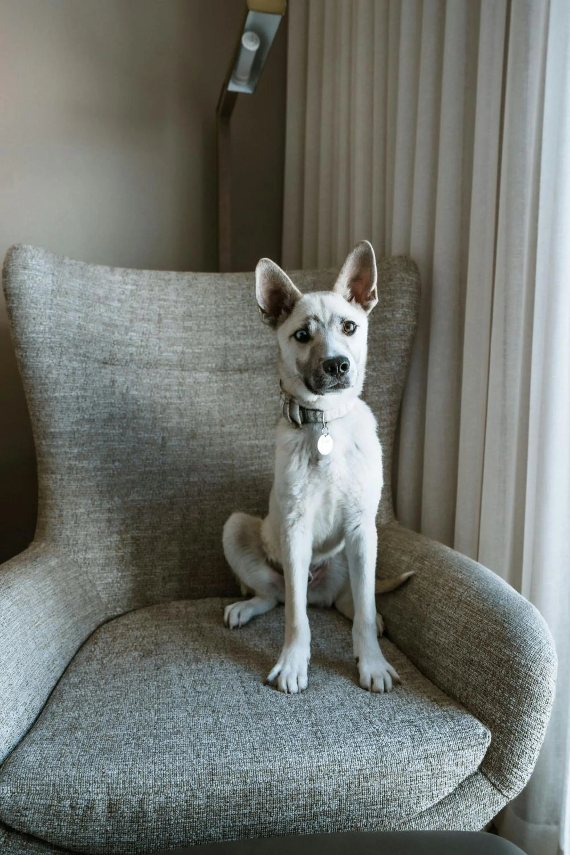 Photo of the whole room in HOTEL PASEO, Autograph Collection
