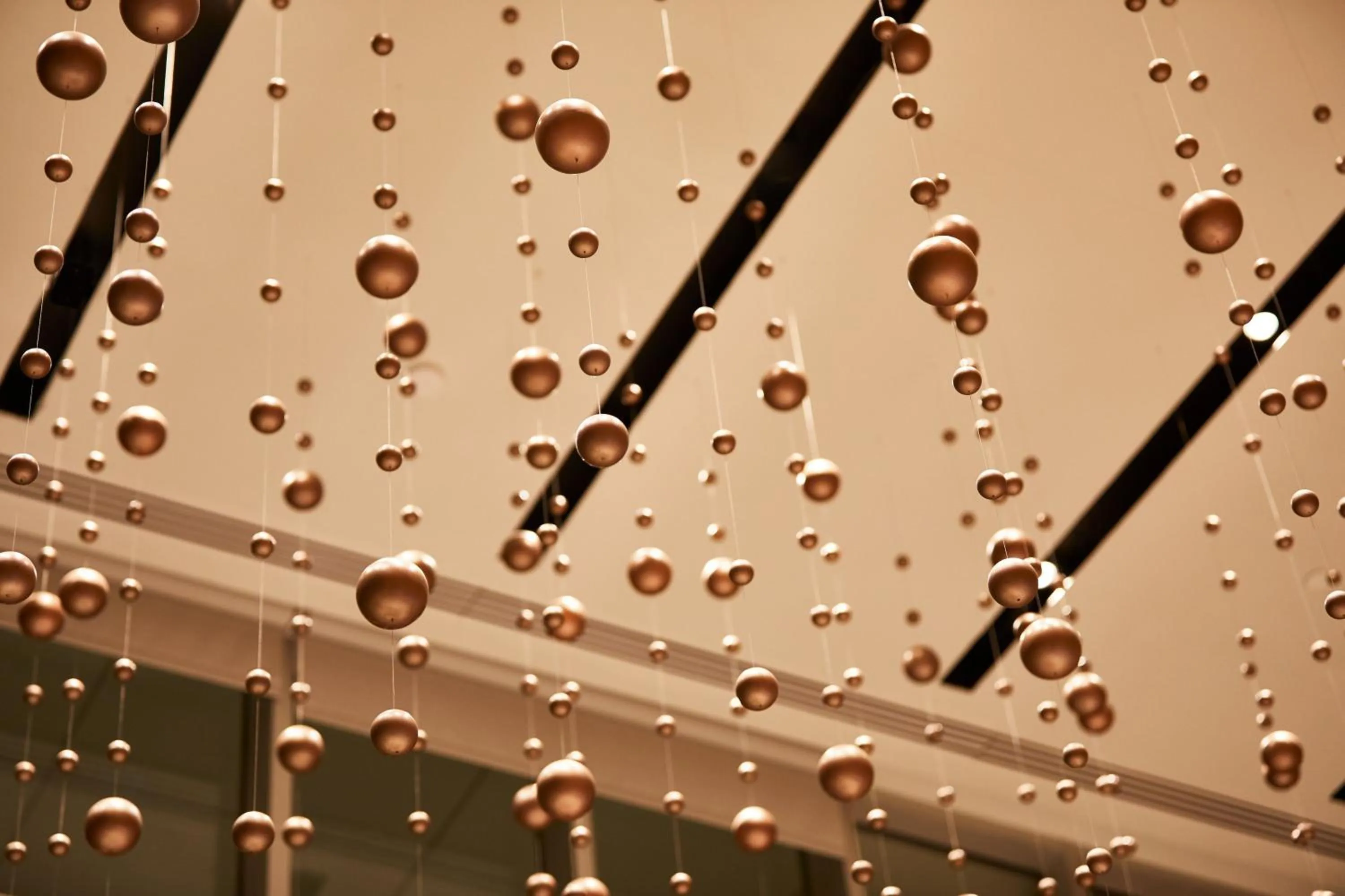 View (from property/room) in AC Hotel by Marriott Oklahoma City Bricktown