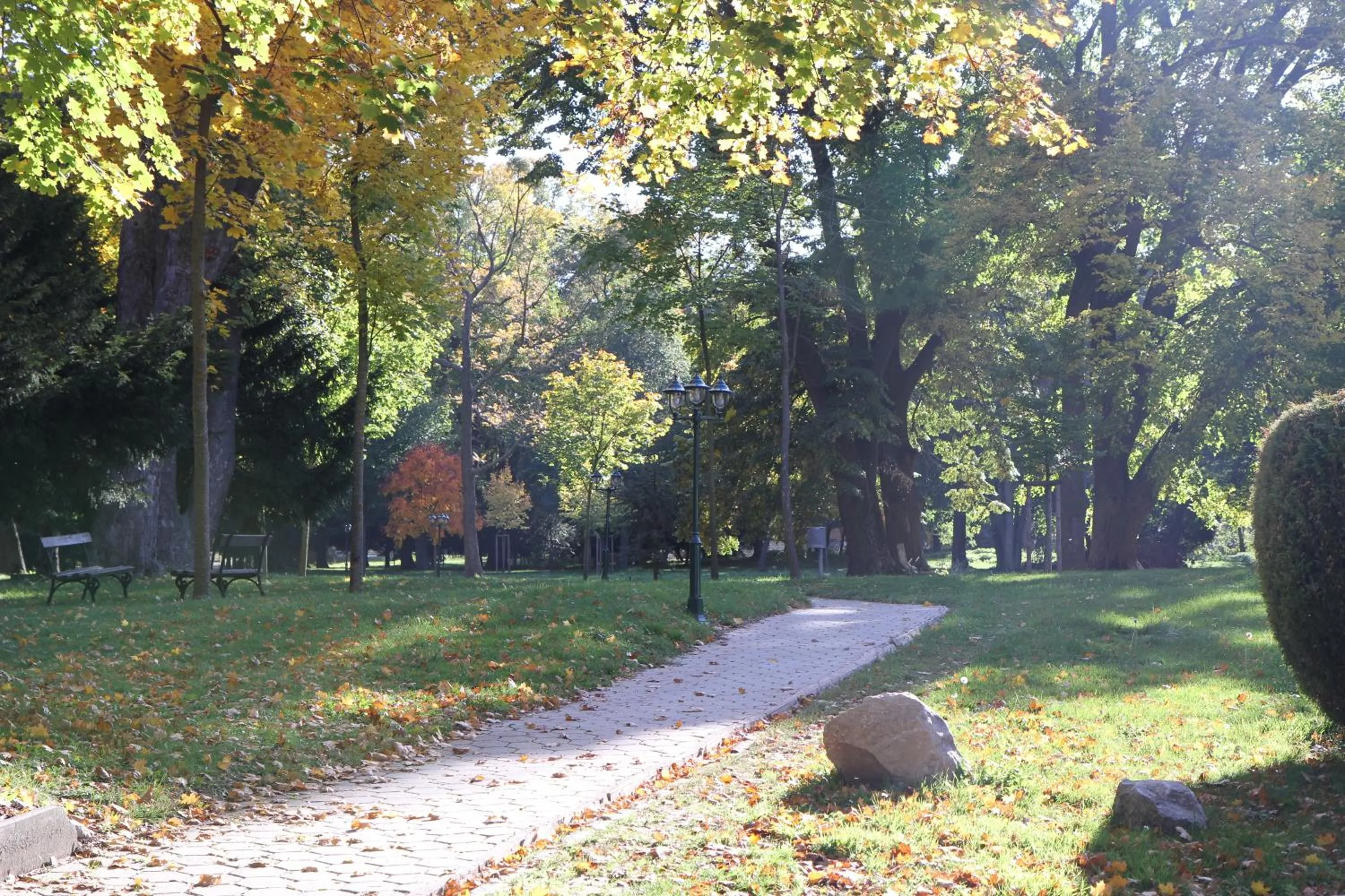 Garden in Seminarhotel Springer Schlössl