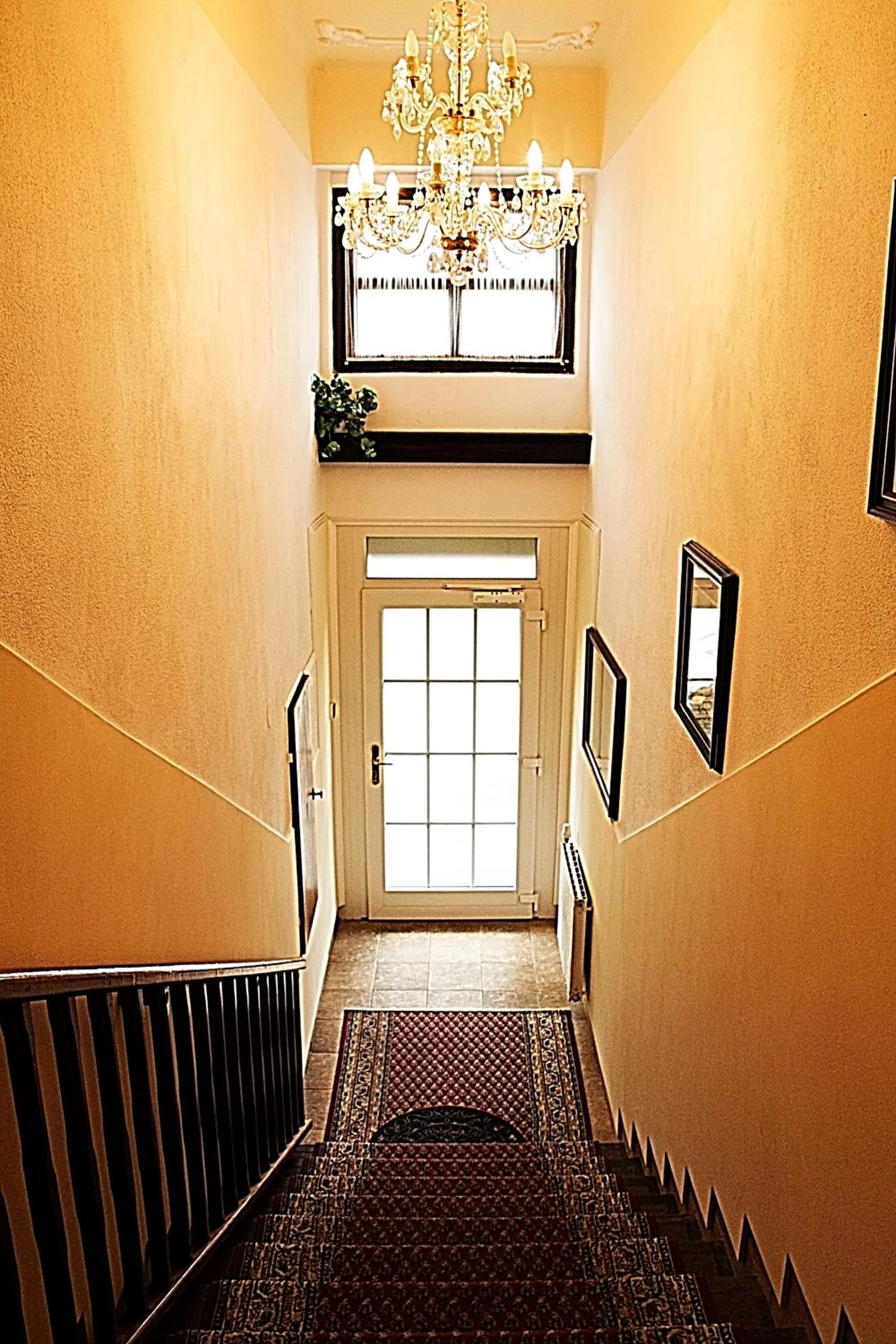 Area and facilities in Hotel Excellent