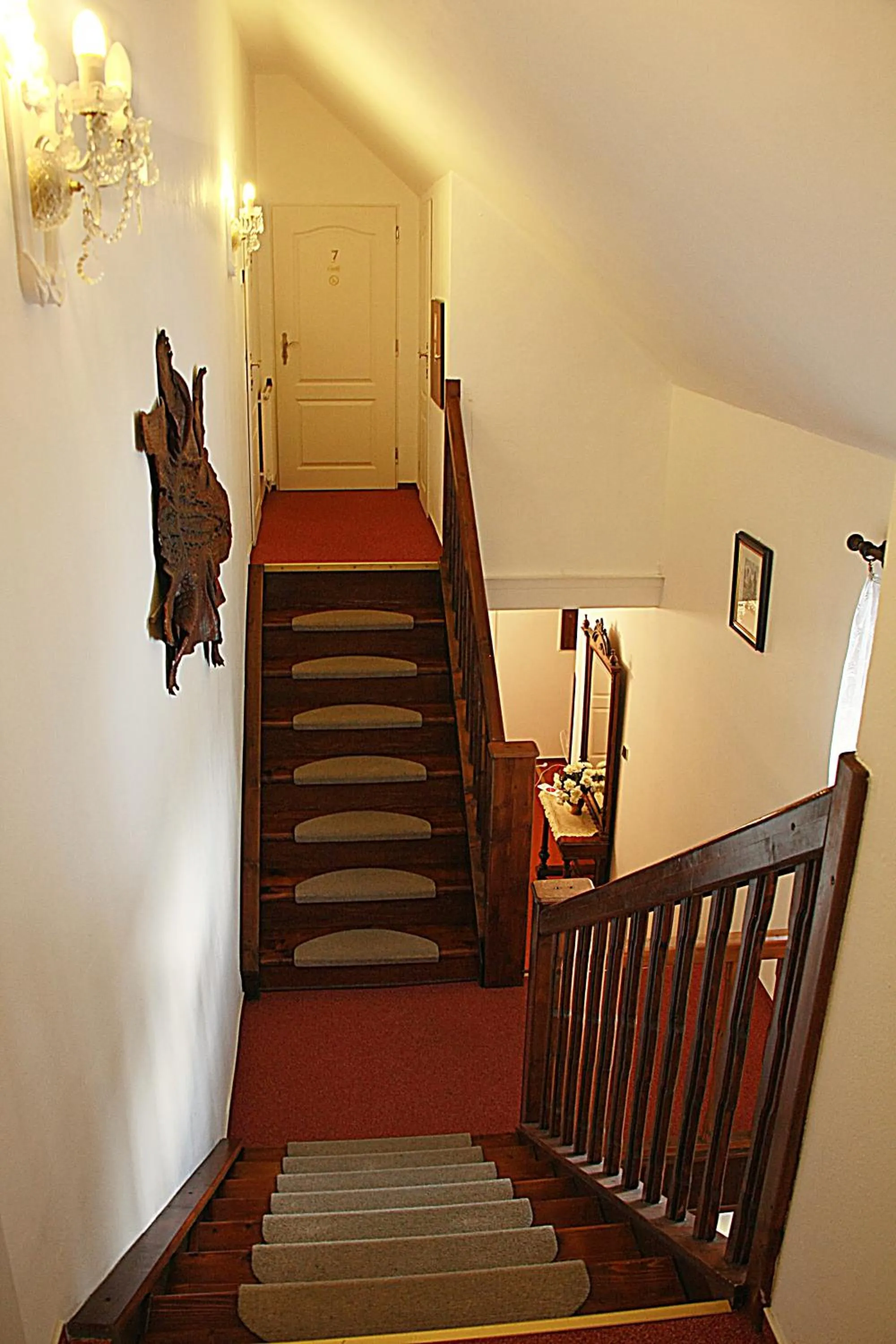 Area and facilities in Hotel Excellent