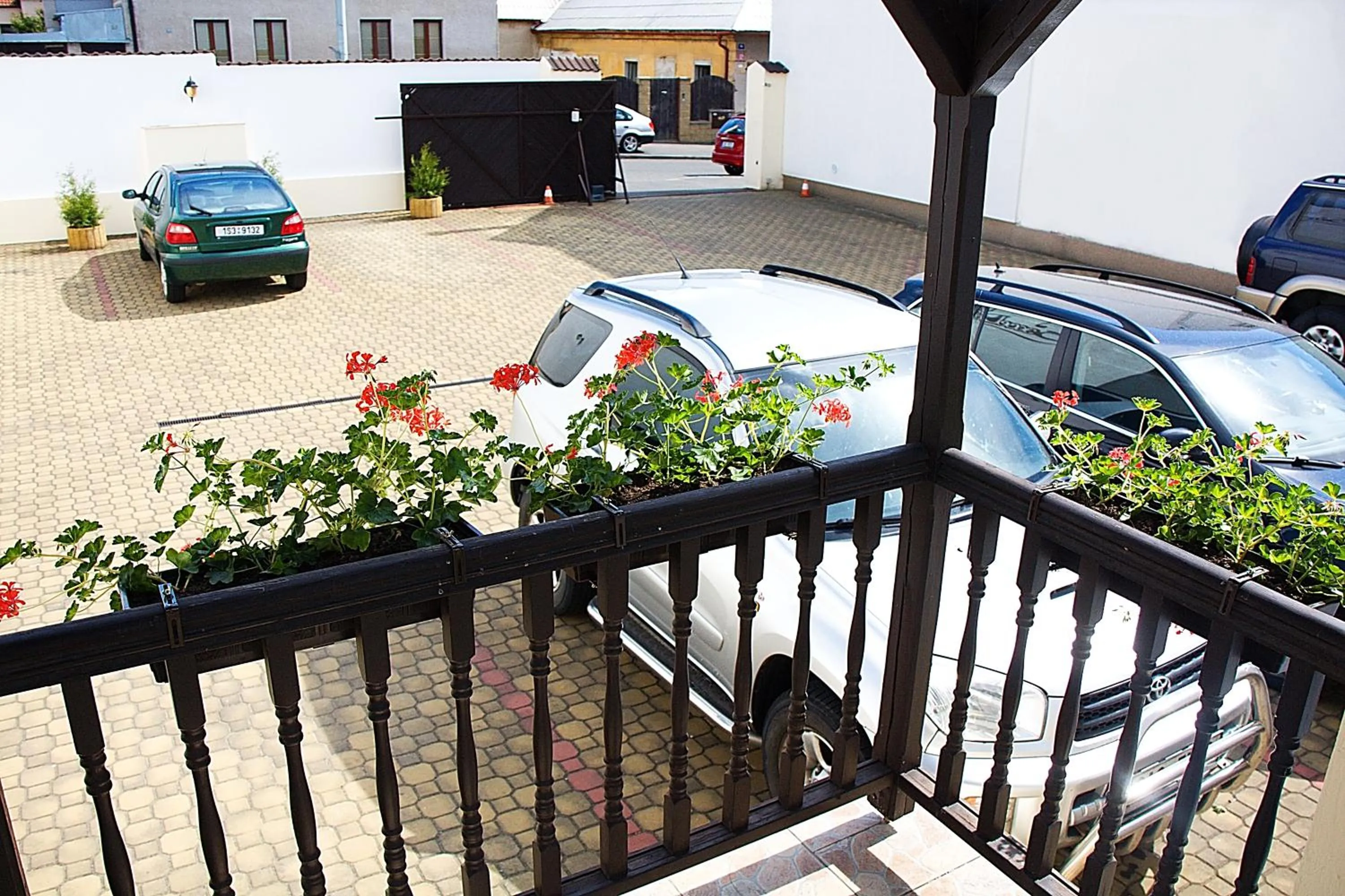 Area and facilities in Hotel Excellent