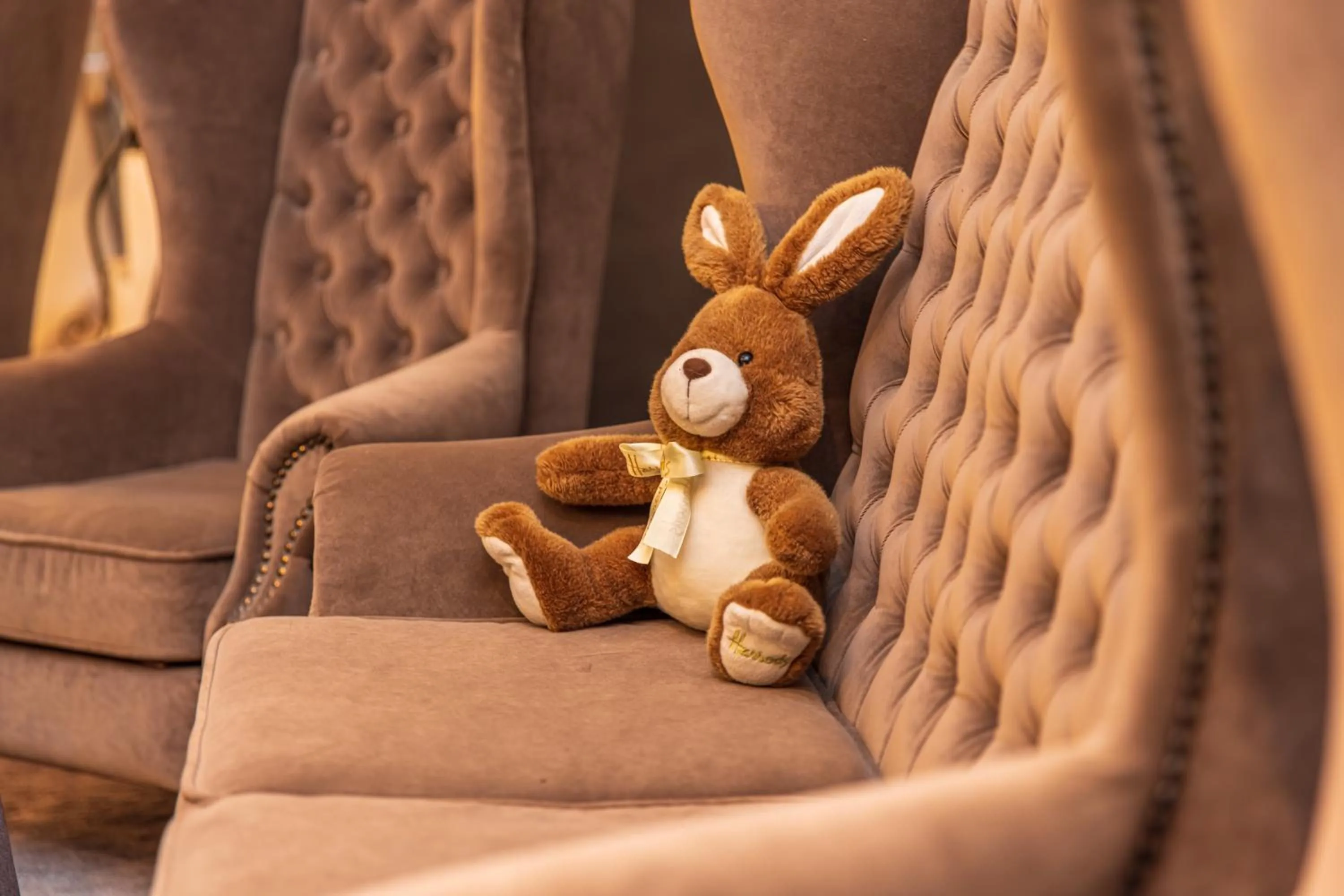 Lobby or reception in Senoji Hansa Hotel