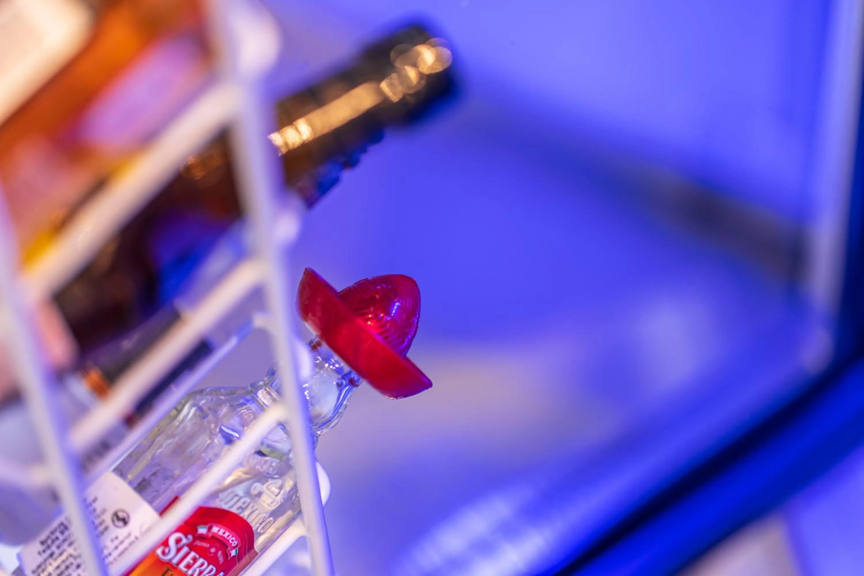 Alcoholic drinks in Senoji Hansa Hotel