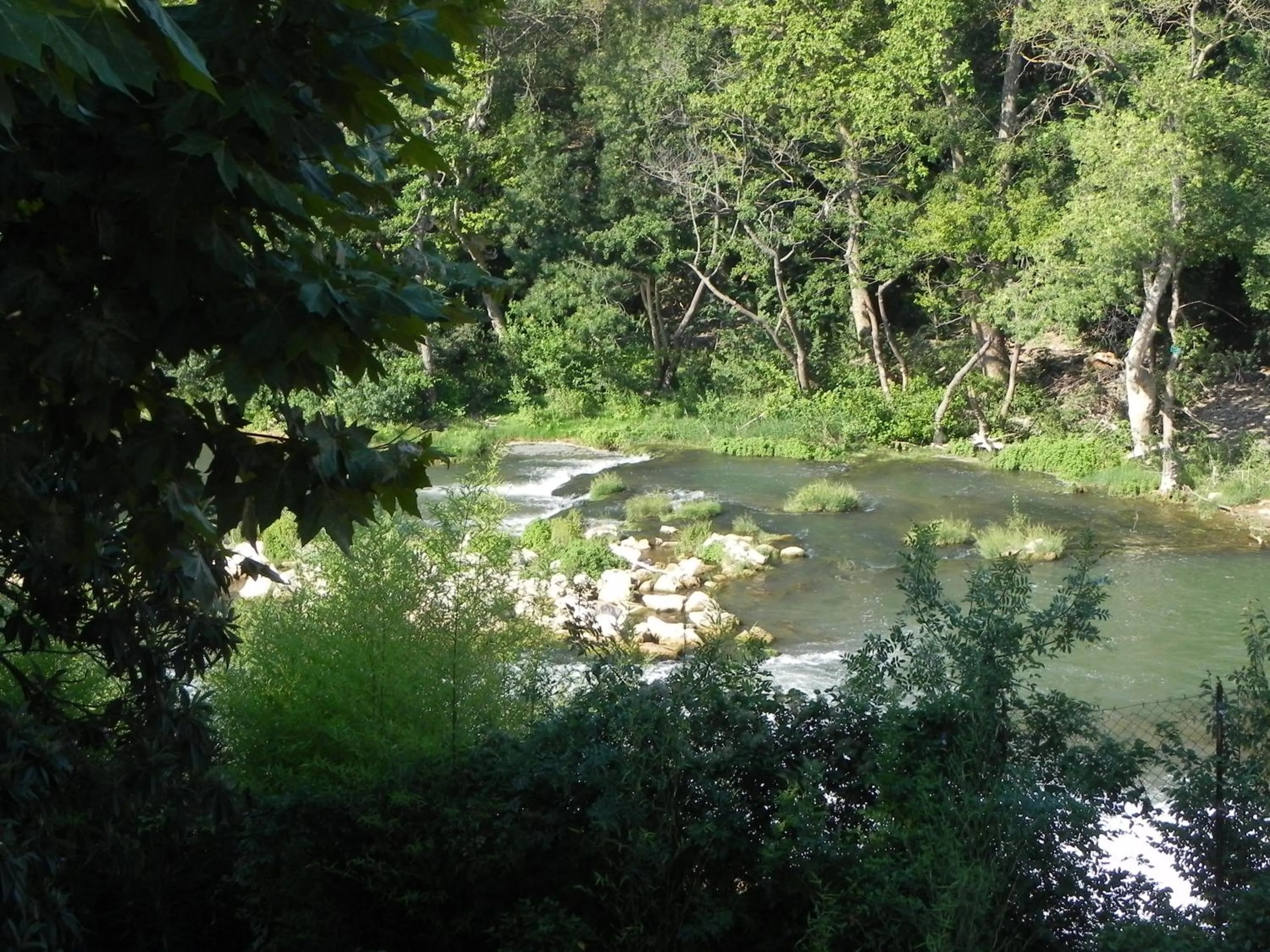 Day in Hotel Aurelia