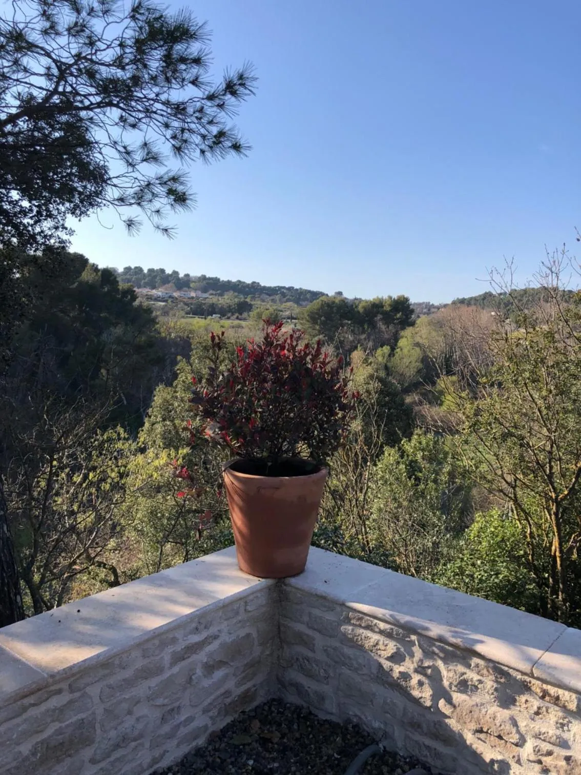 le Mas des Pignes -adults only