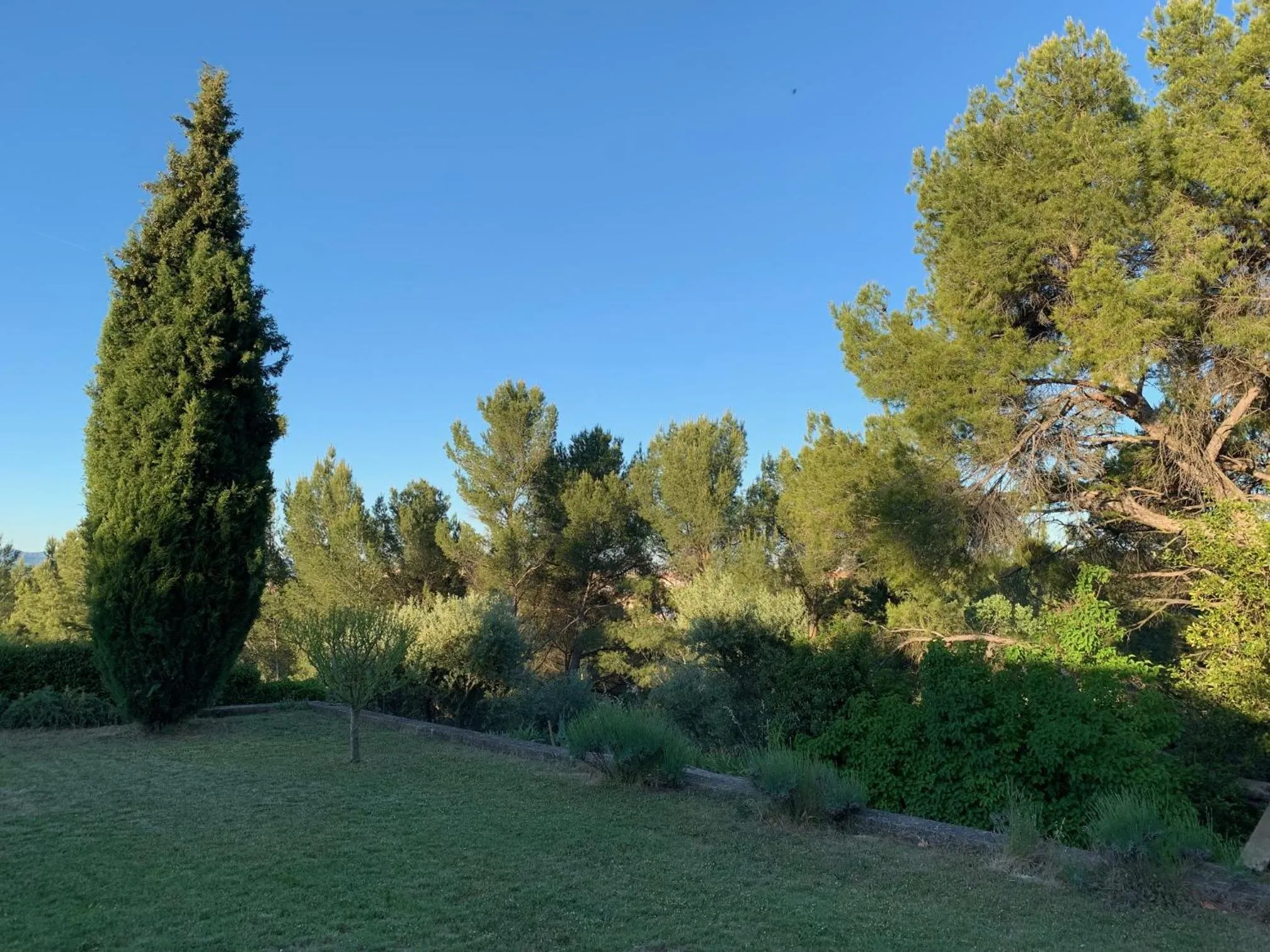 le Mas des Pignes -adults only