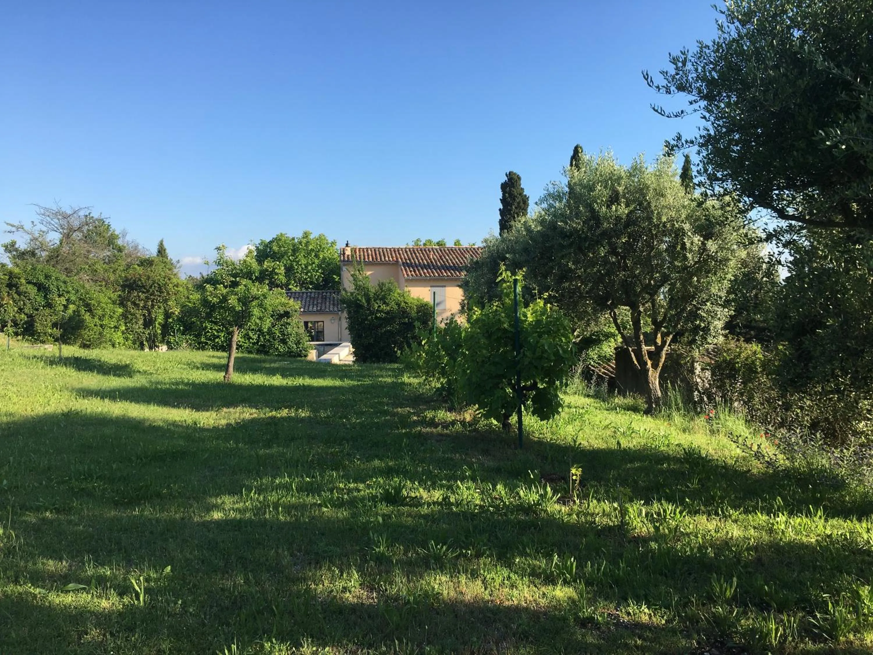 le Mas des Pignes -adults only