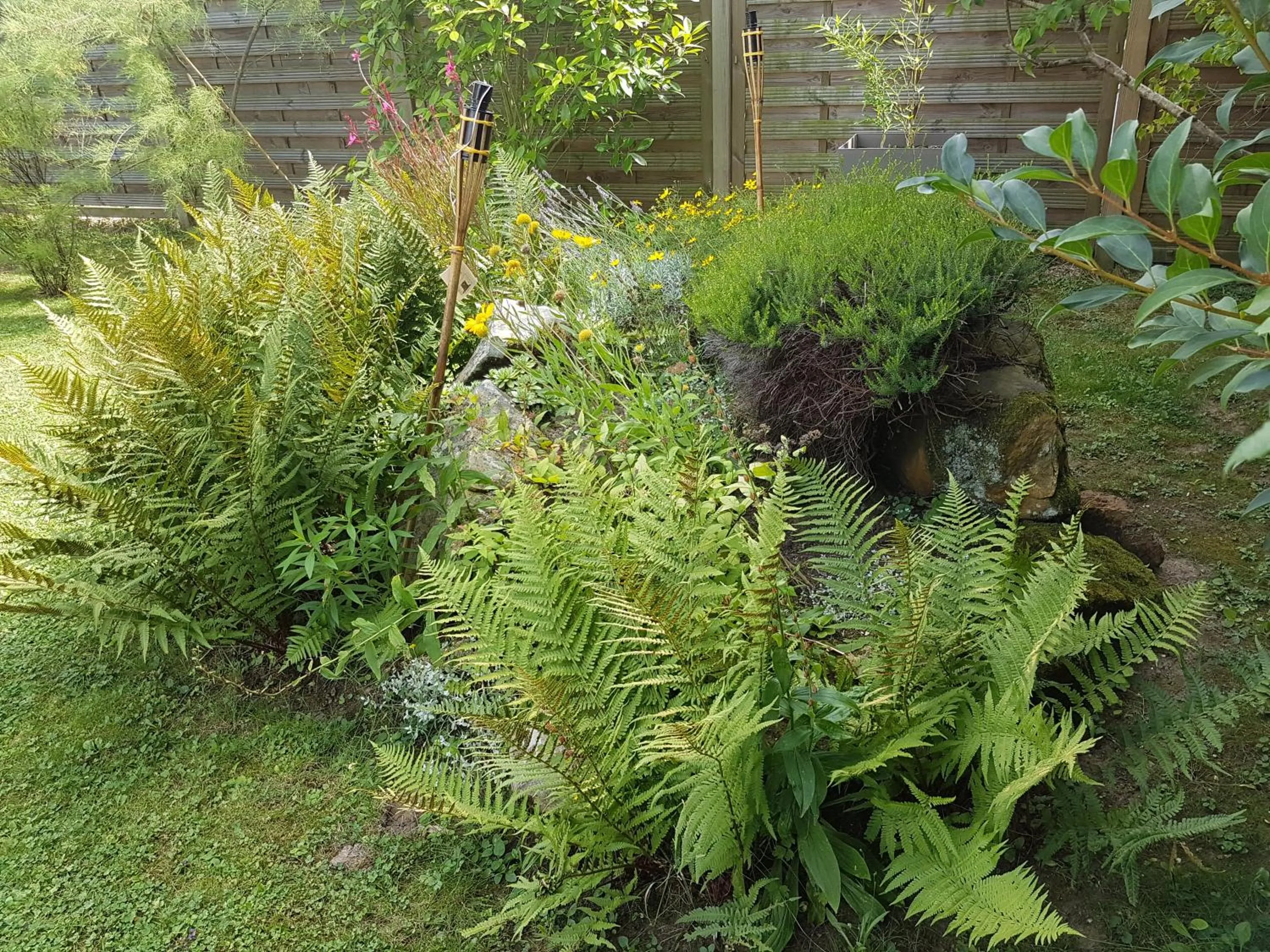 Garden in La Montignonne