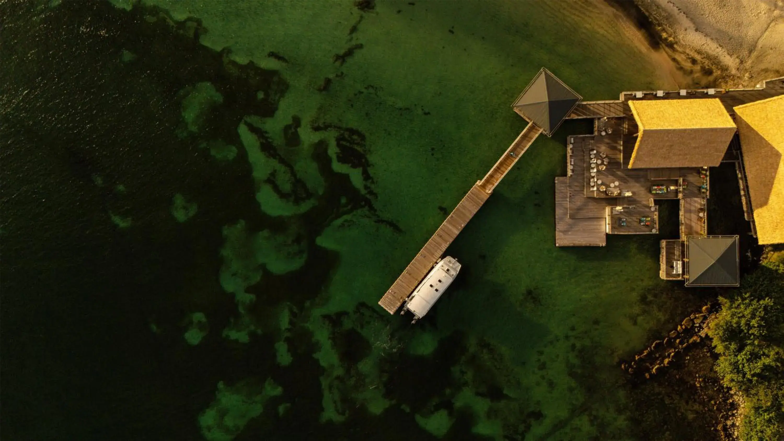 Restaurant/places to eat in Park Hyatt St. Kitts Restaurant/places to eat in Park Hyatt St. Kitts