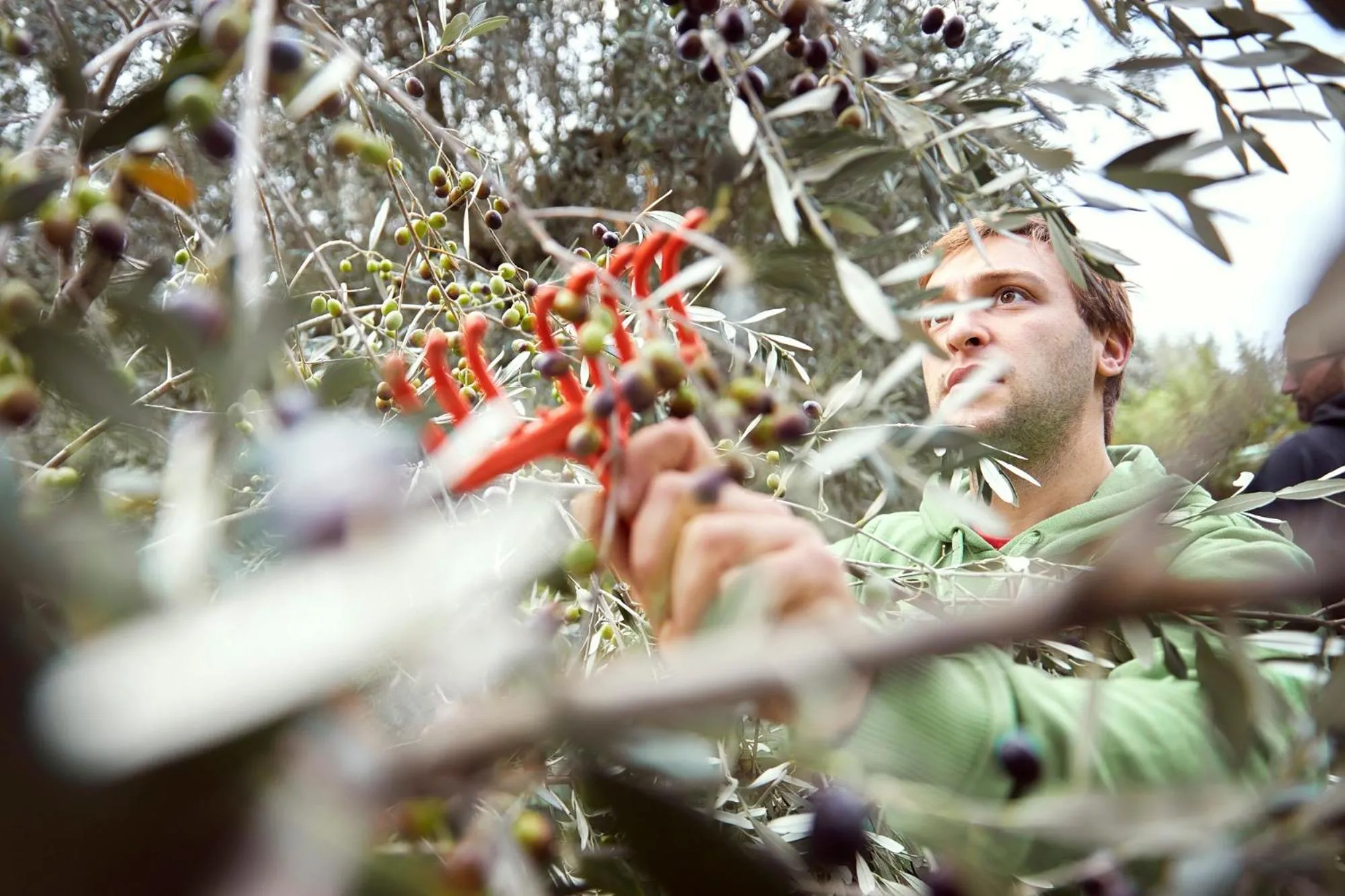 Tenuta San Vito In Fior Di Selva