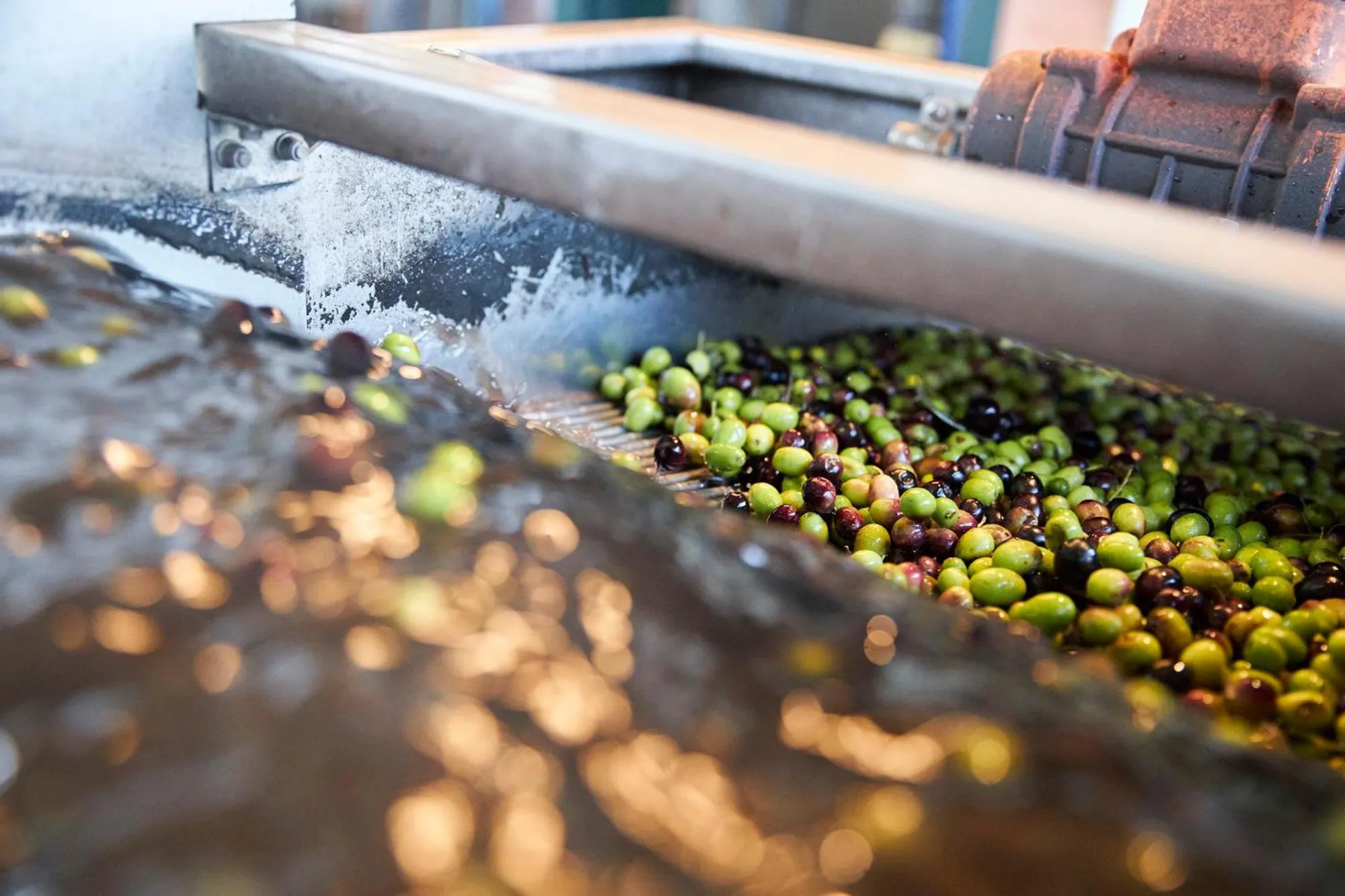 Tenuta San Vito In Fior Di Selva