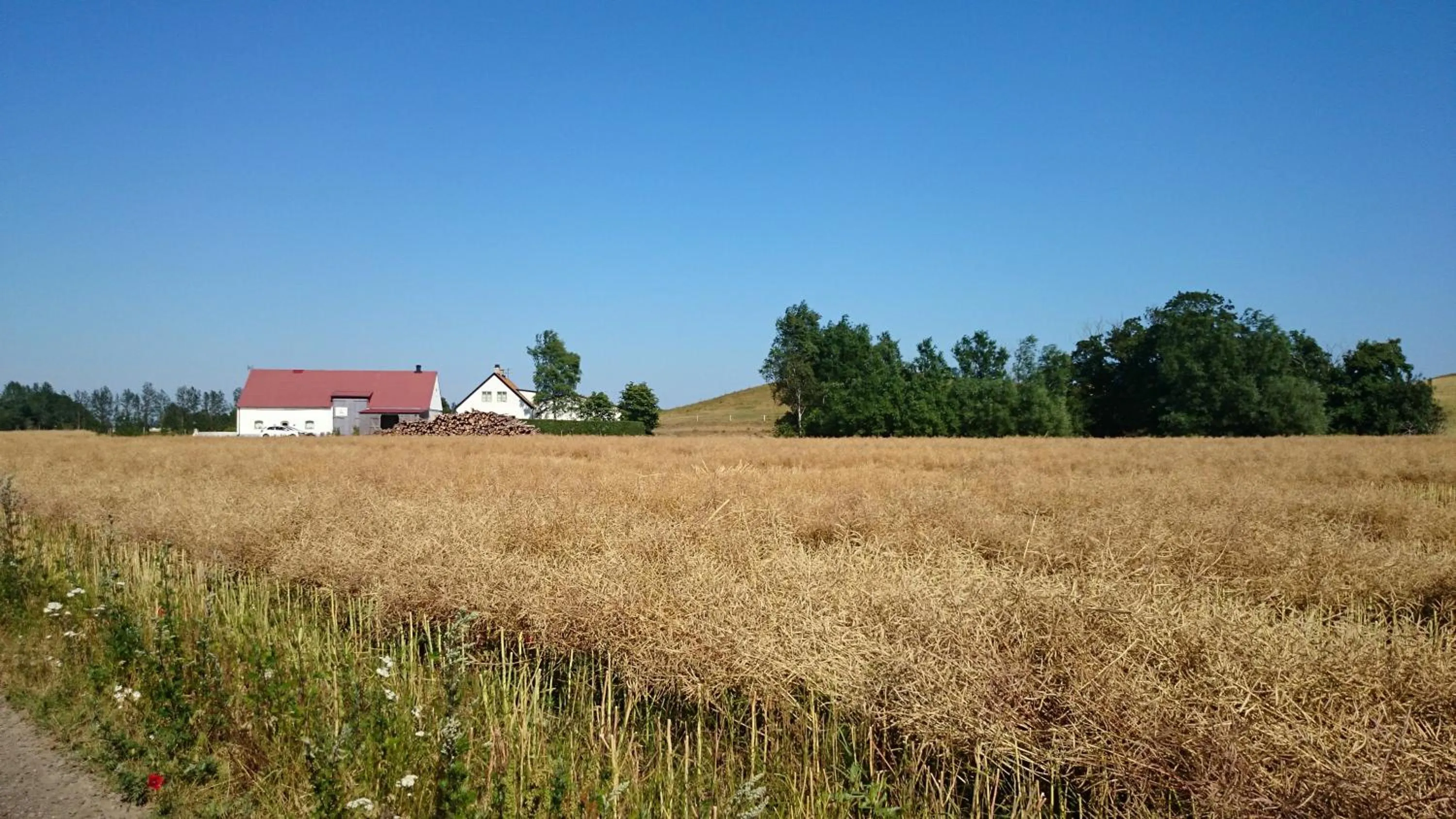 Neighbourhood in Bed & Breakfast Vinkille