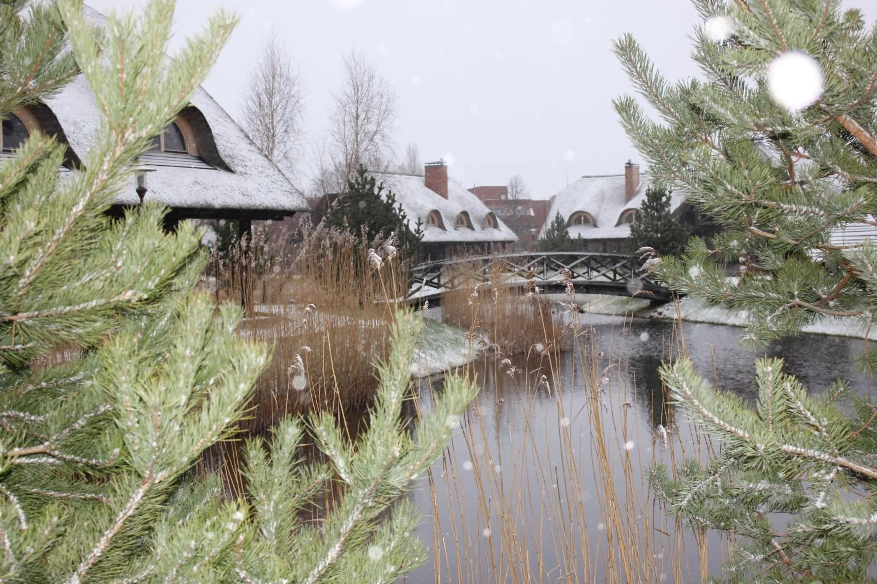 Winter in Pajūrio Sodyba