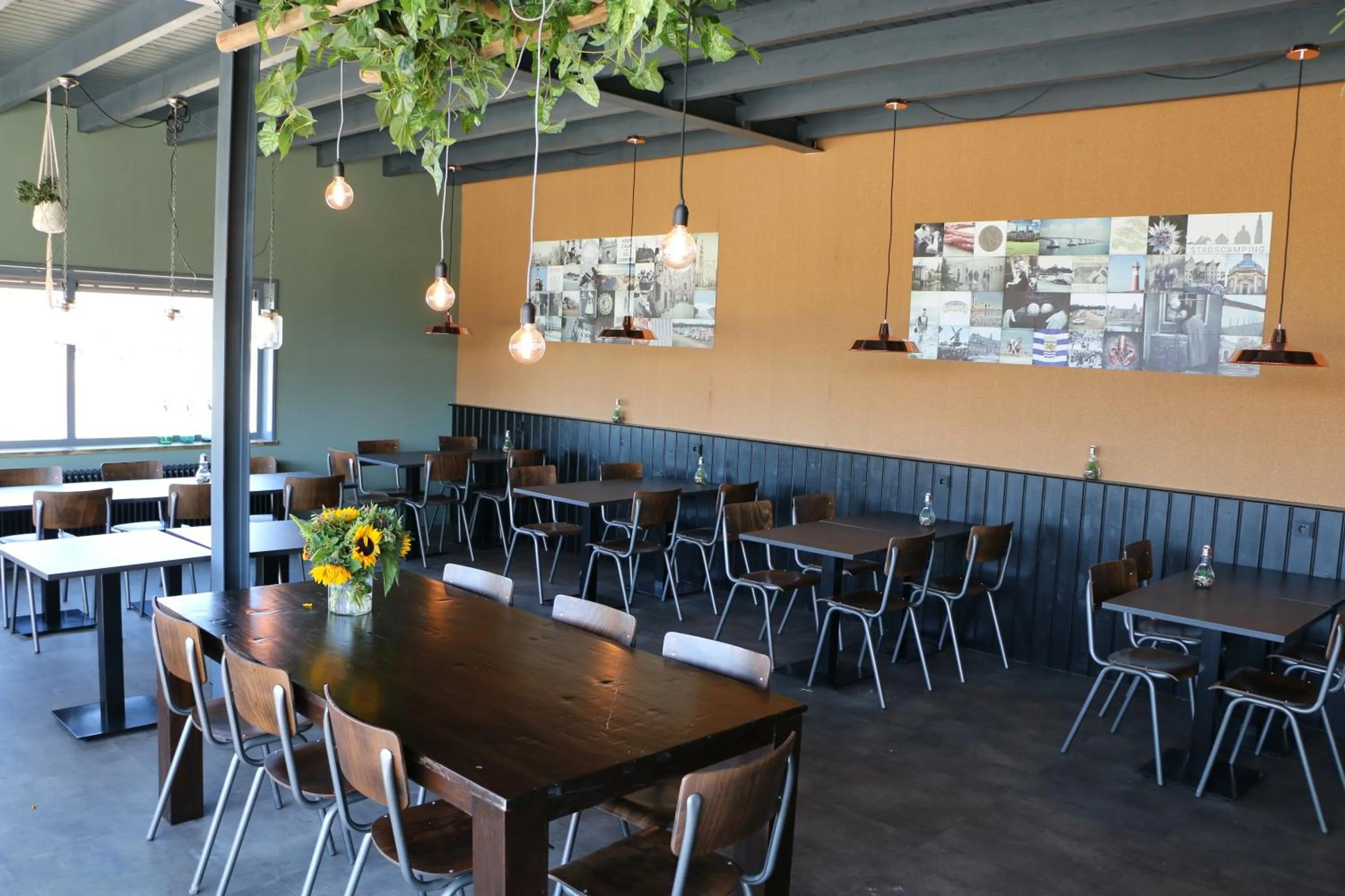 Property building in Hotel Chalets Middelburg