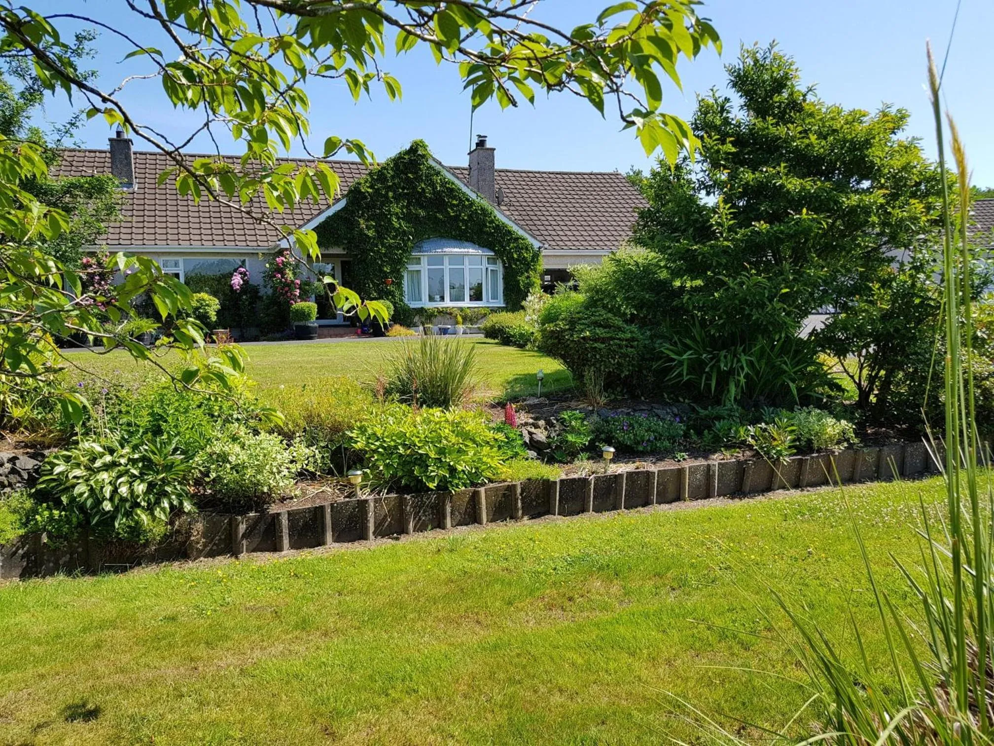 Garden in Meadow View B&B