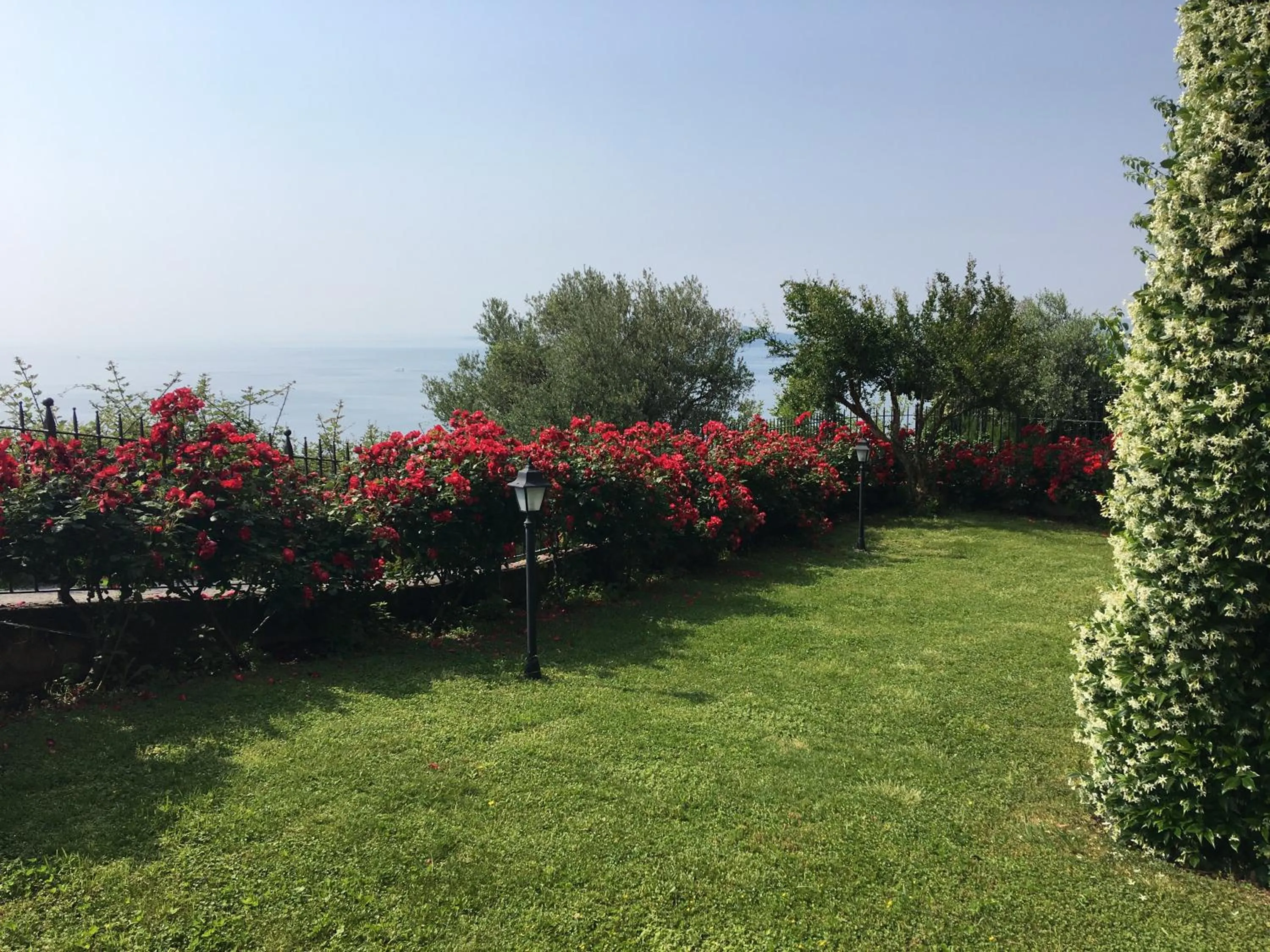 Garden in Belvedere Hotel & Villa