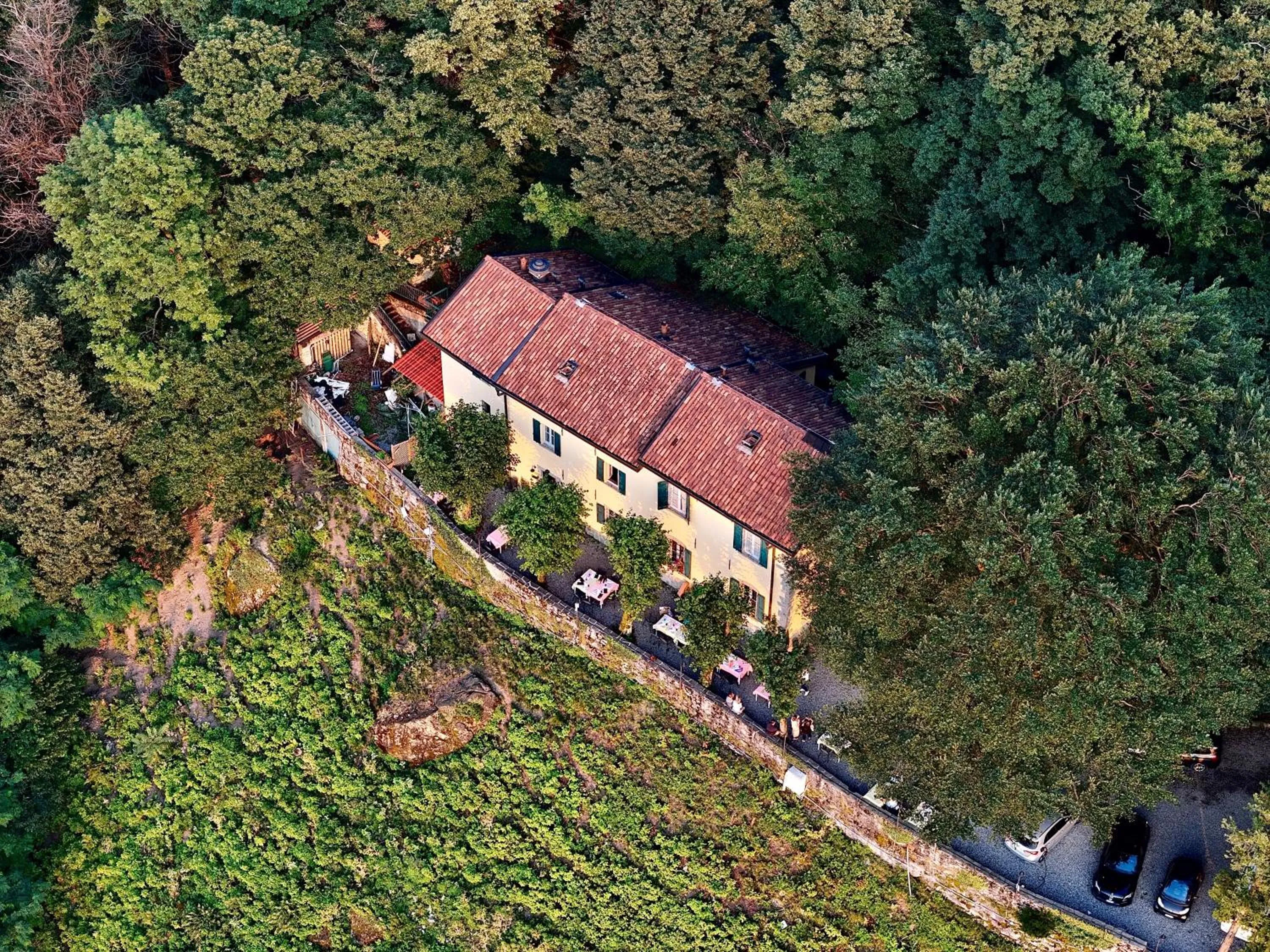 Ristorante Hotel Falchetto