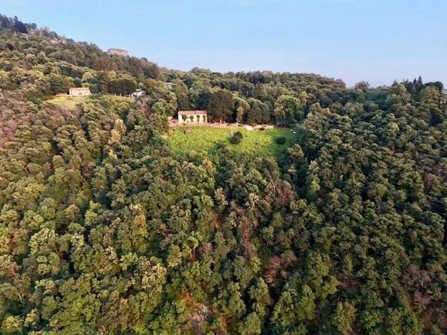 Ristorante Hotel Falchetto