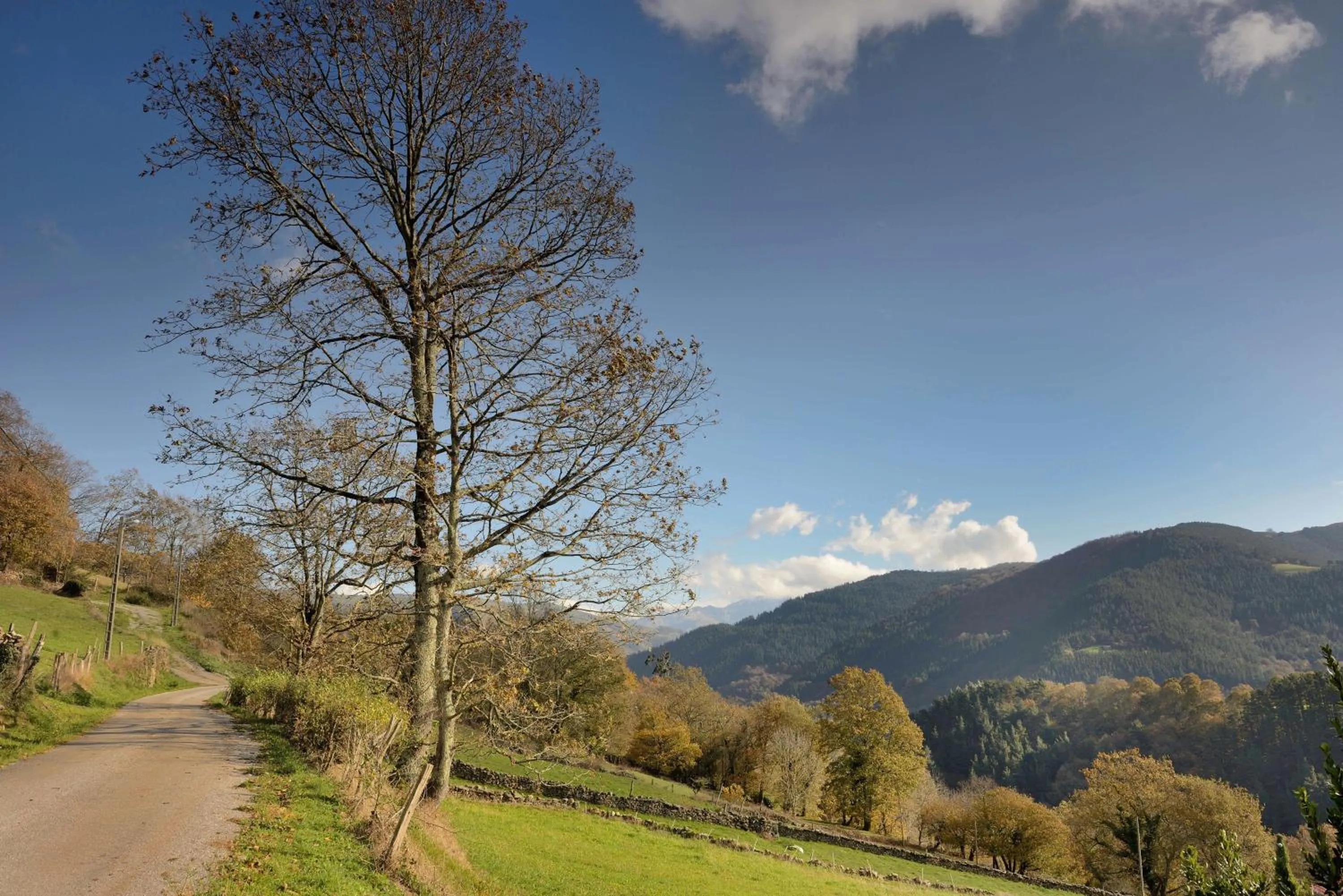 Hiking in Hotel Balneario De Alceda