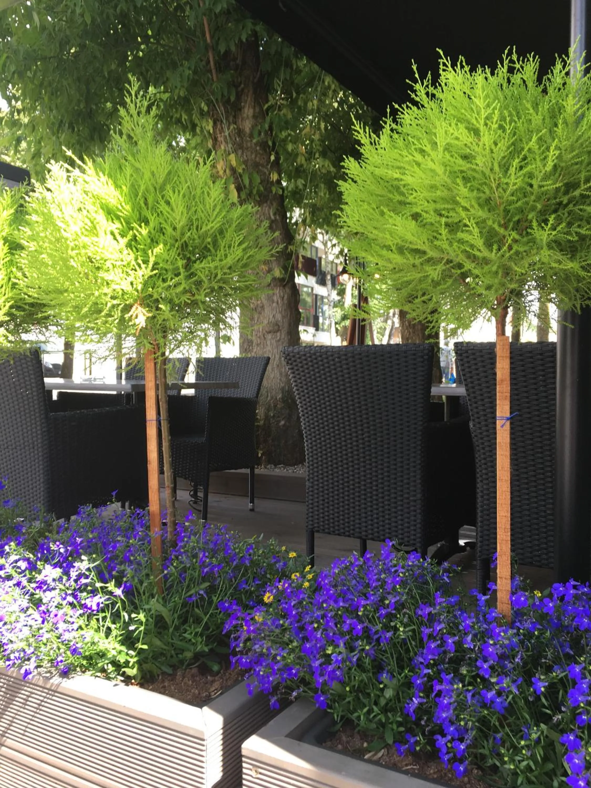 Spring in Muza Hotel