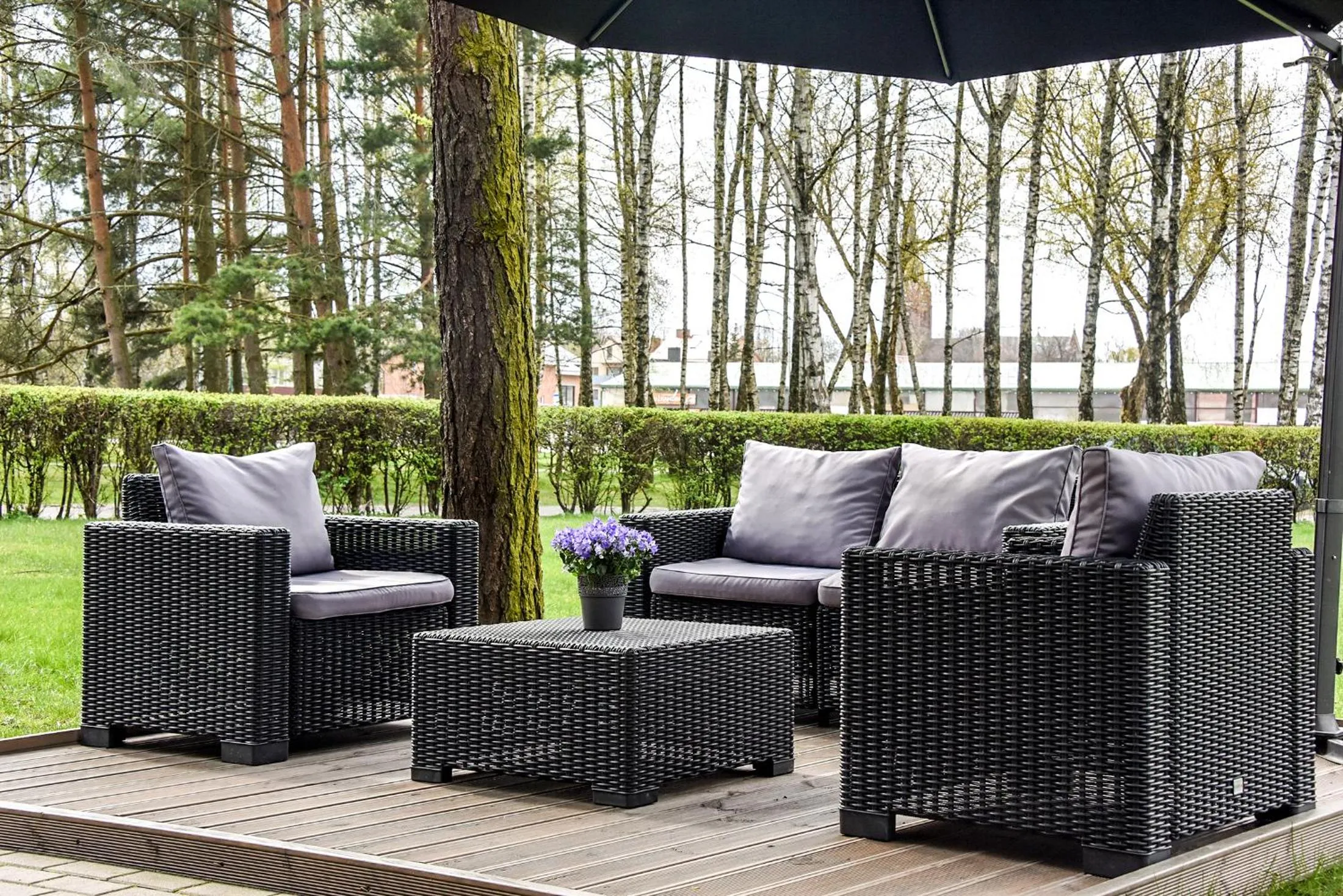 On site in Muza Hotel