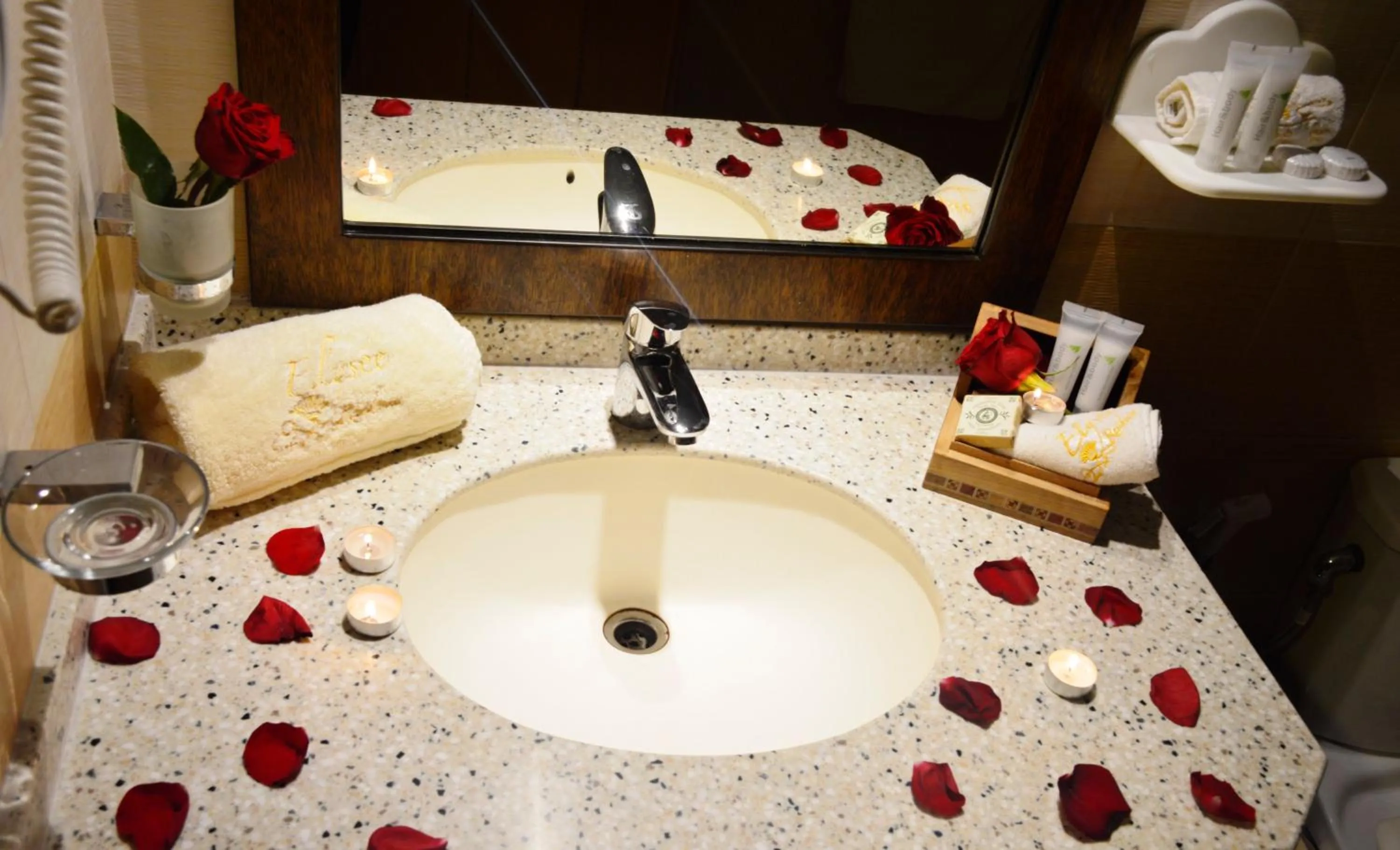 Bathroom in Elysee Residence