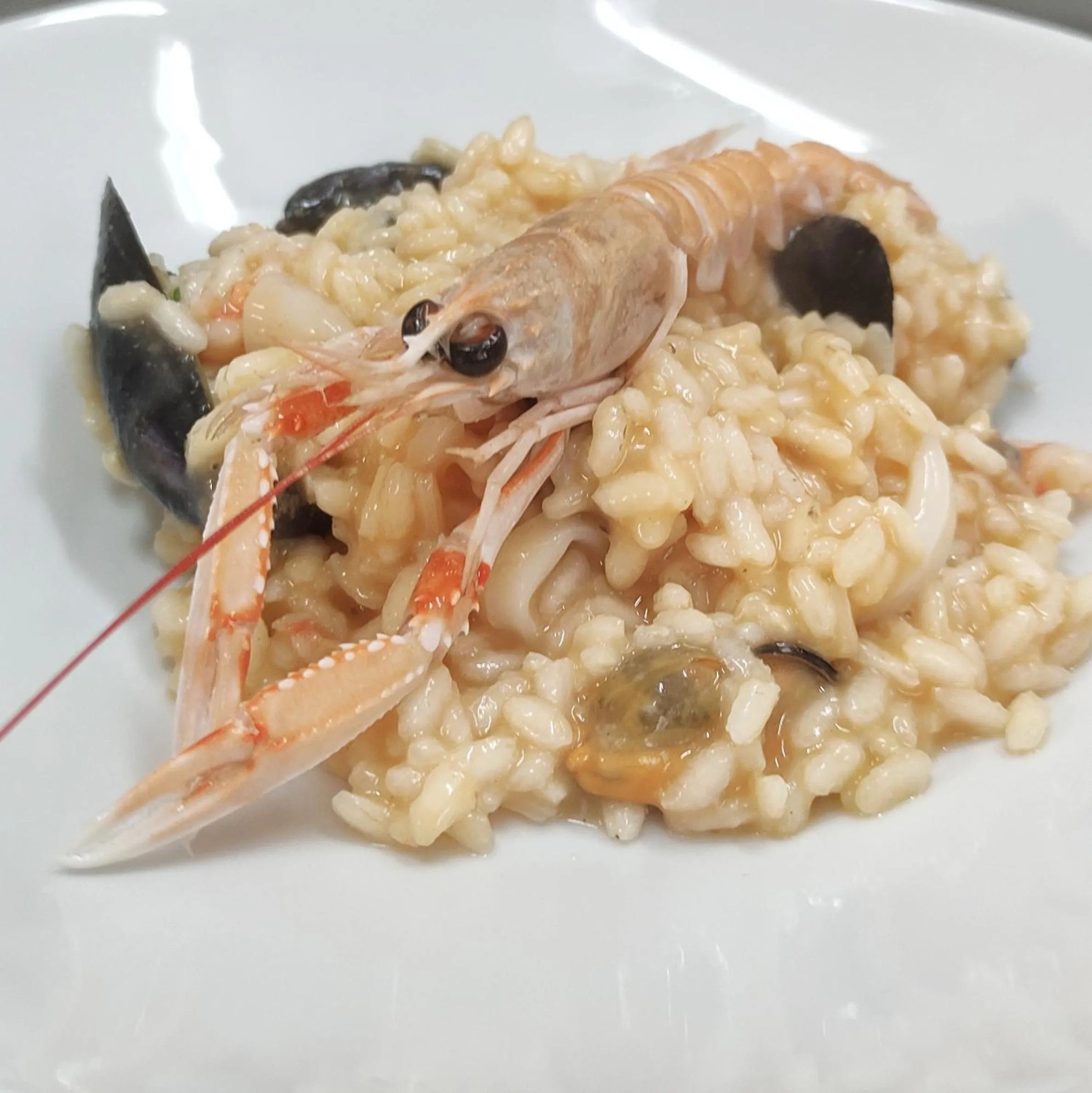 Restaurant/places to eat in Hotel Galassia