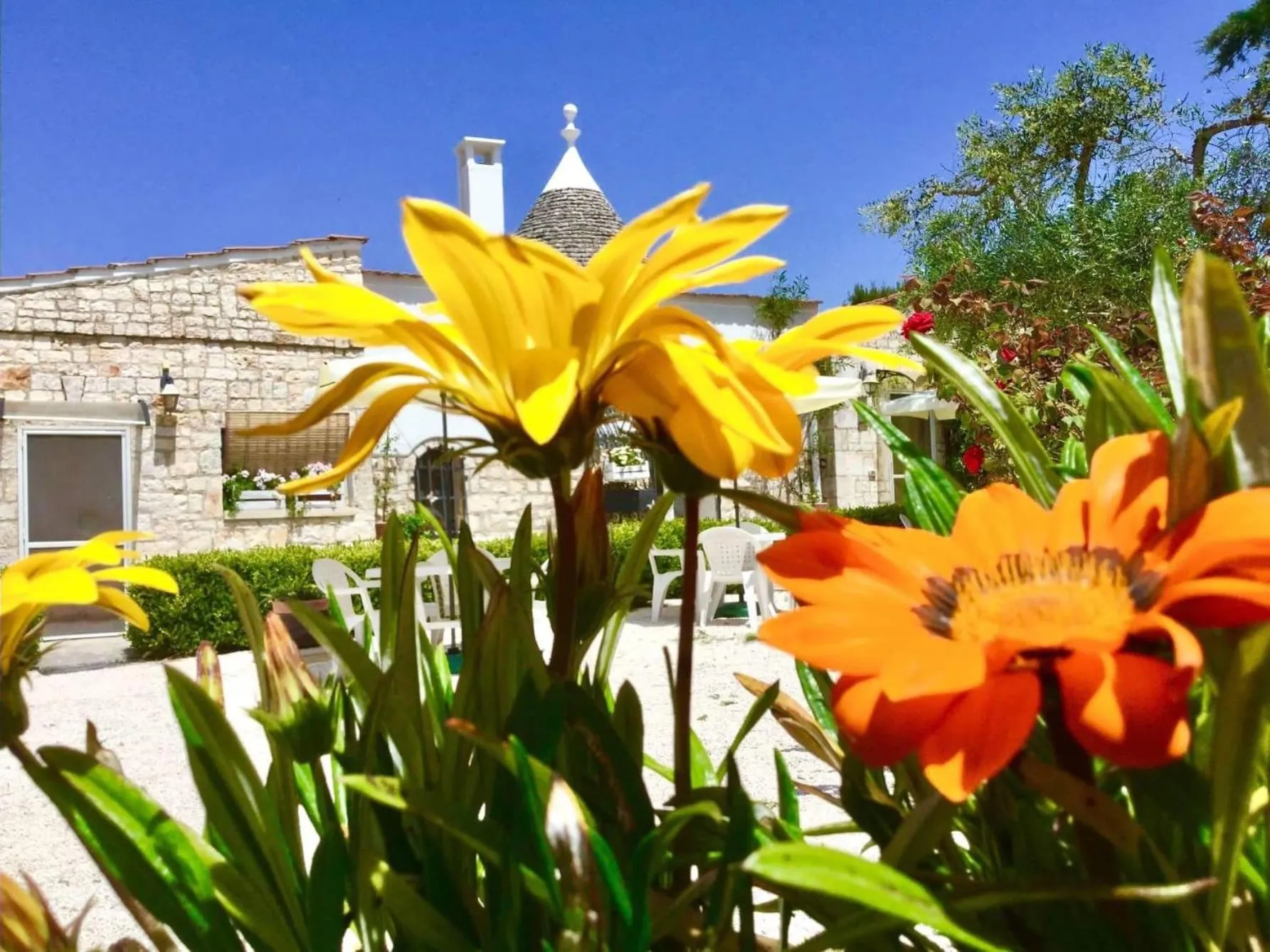Garden in Mirella Charming